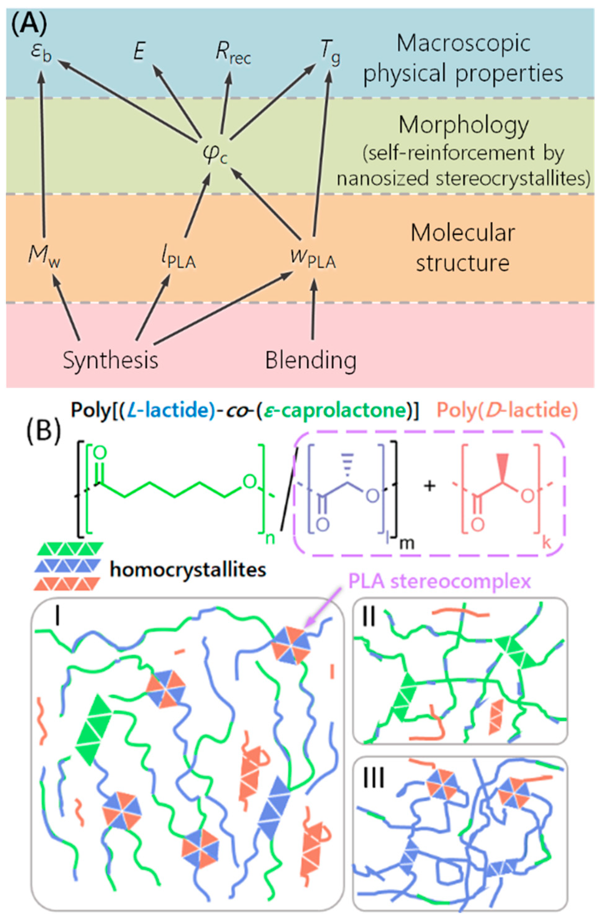 Nanomaterials 11 01472 g001