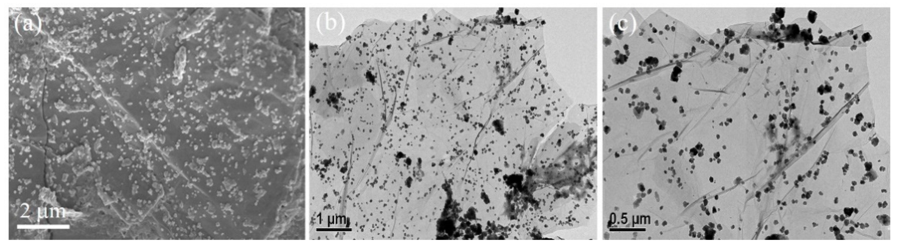 Nanomaterials 11 01475 g001 Nanomaterials 11 01475 g001