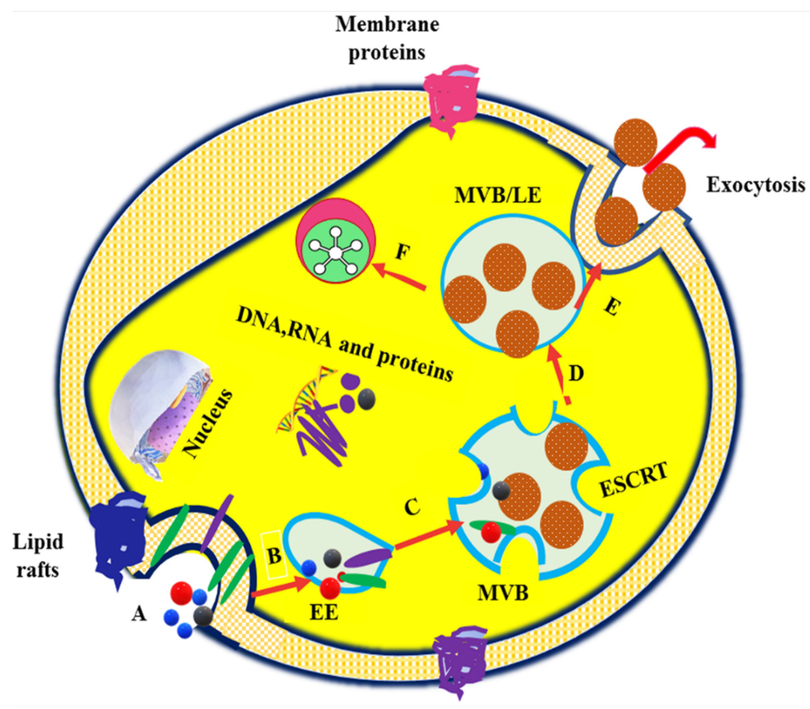 Nanomaterials 11 01481 g001