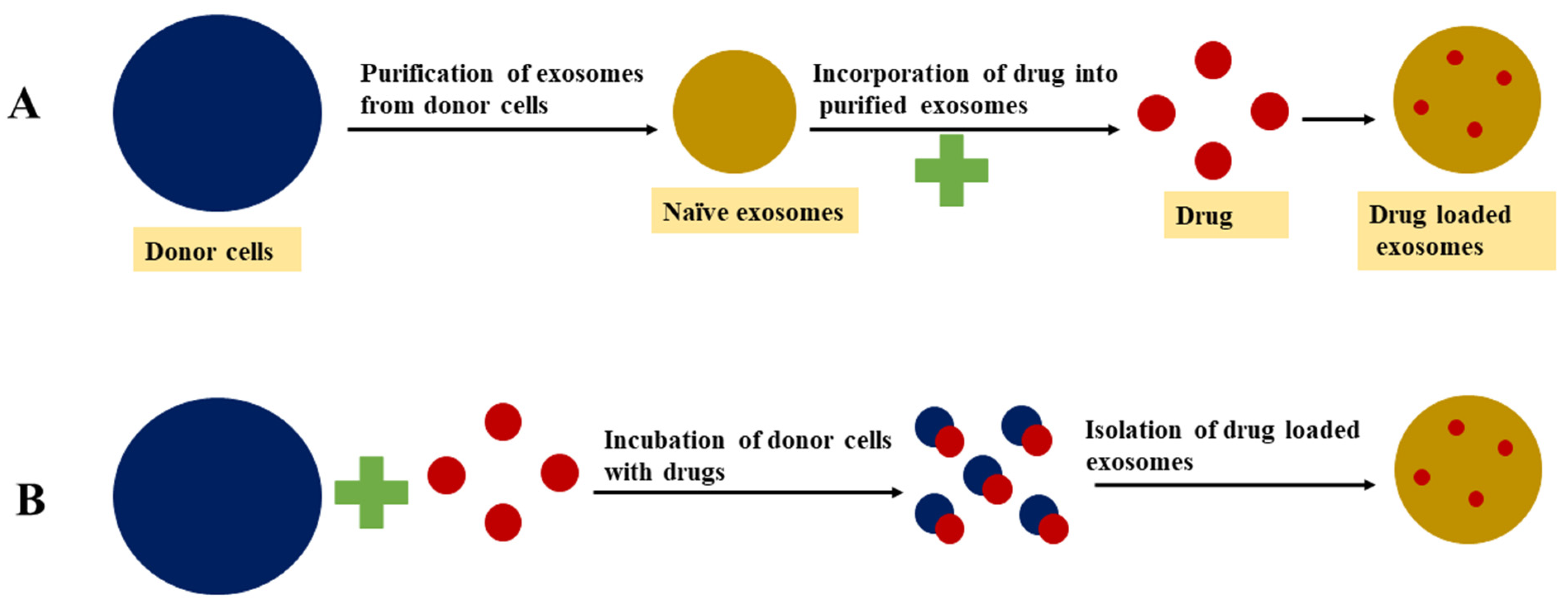 Nanomaterials 11 01481 g003