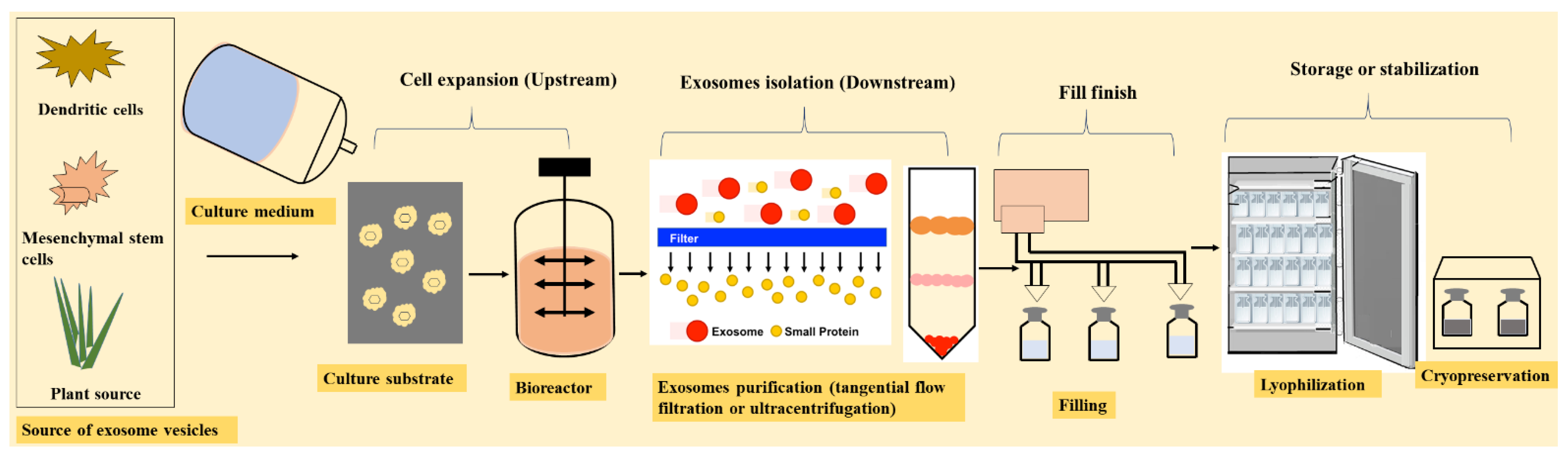 Nanomaterials 11 01481 g004