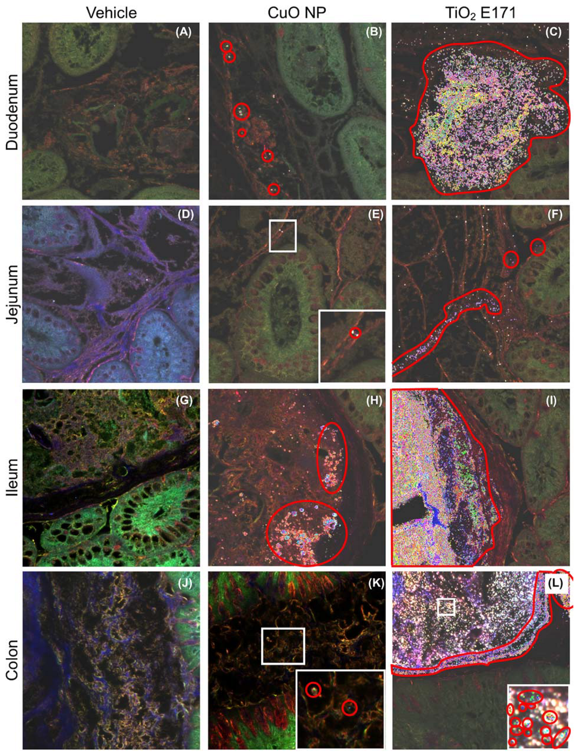 Nanomaterials 11 01487 g002 Nanomaterials 11 01487 g002