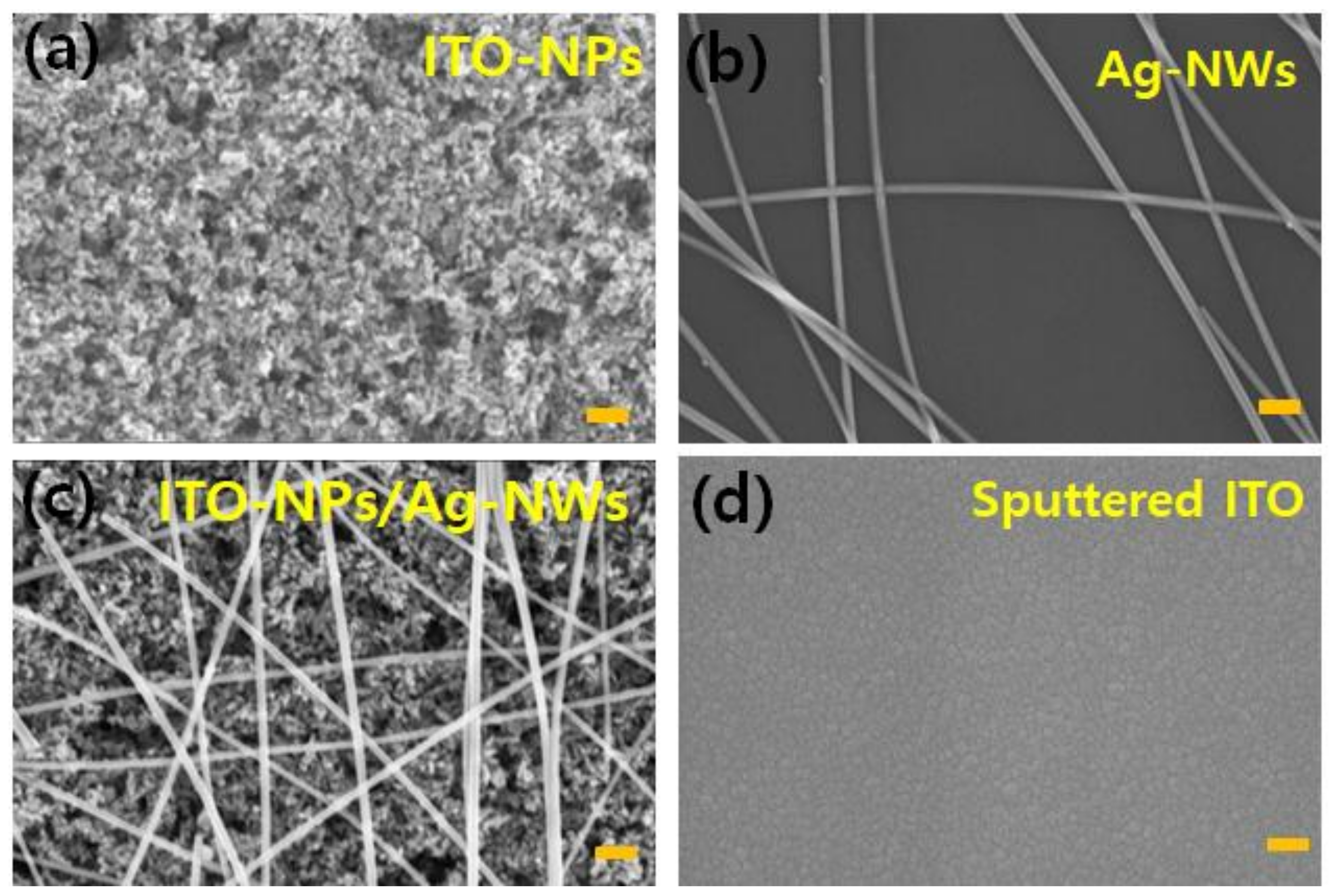 Nanomaterials 11 01489 g002