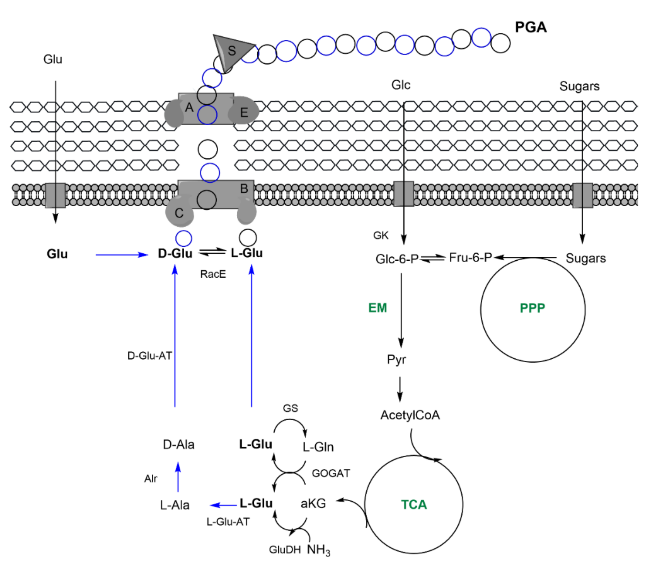 Nanomaterials 11 01492 g004 Nanomaterials 11 01492 g004