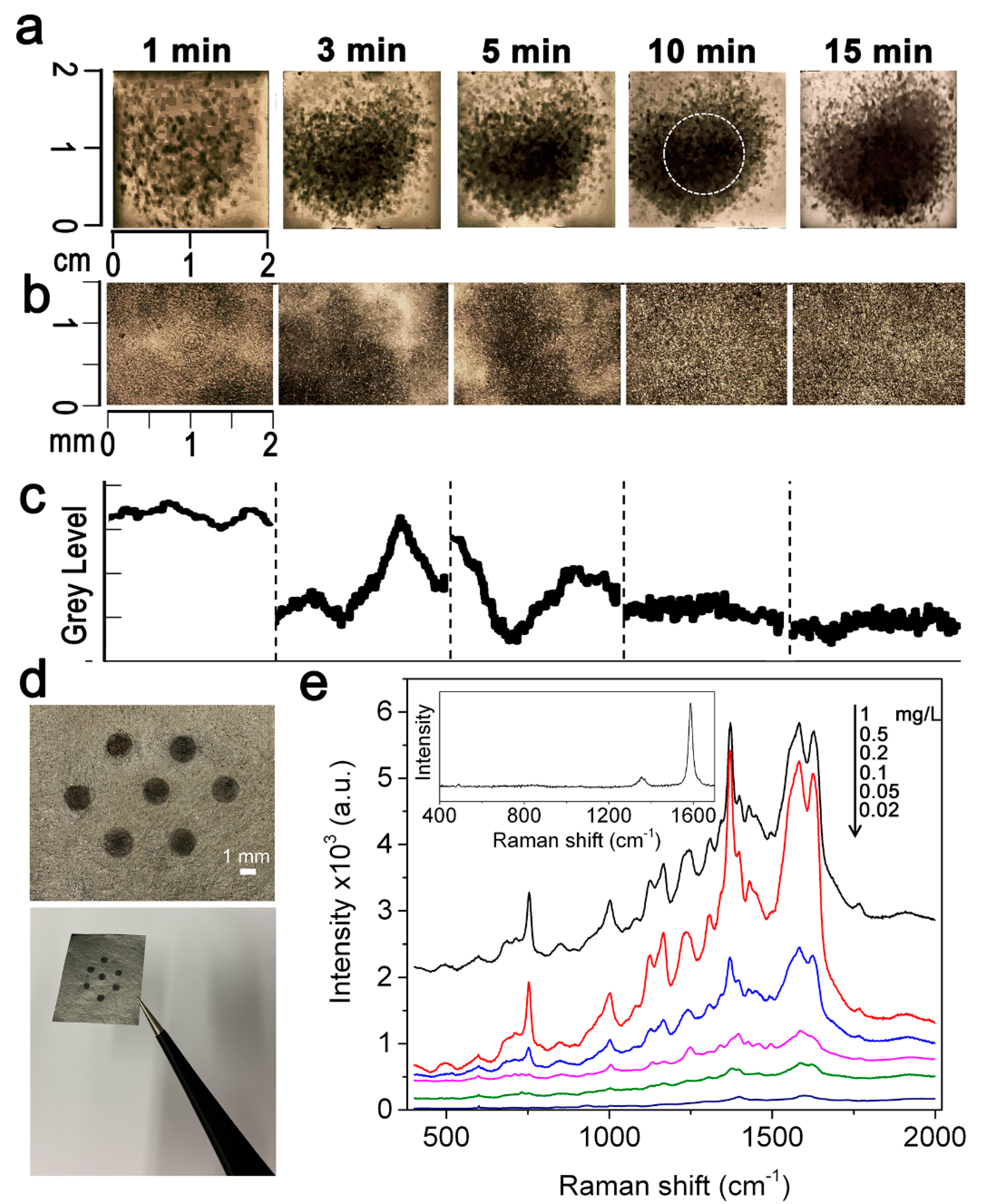 Nanomaterials 11 01495 g002