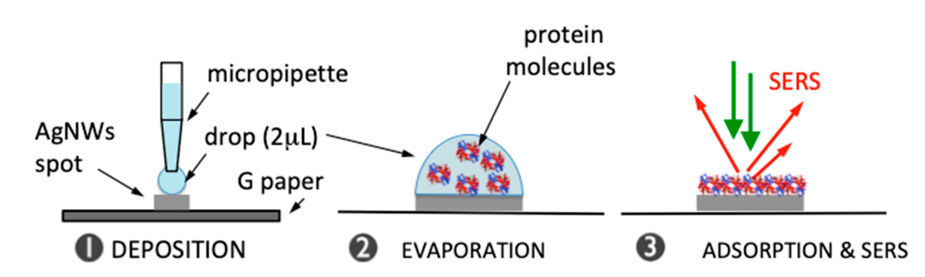 Nanomaterials 11 01495 g003