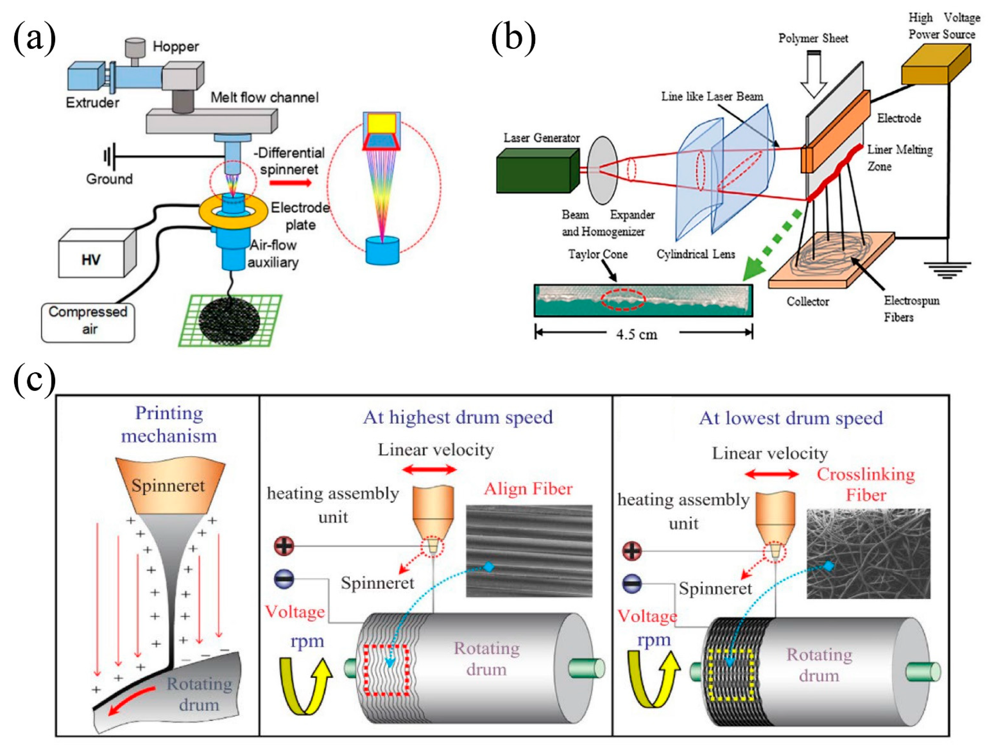 Nanomaterials 11 01501 g005