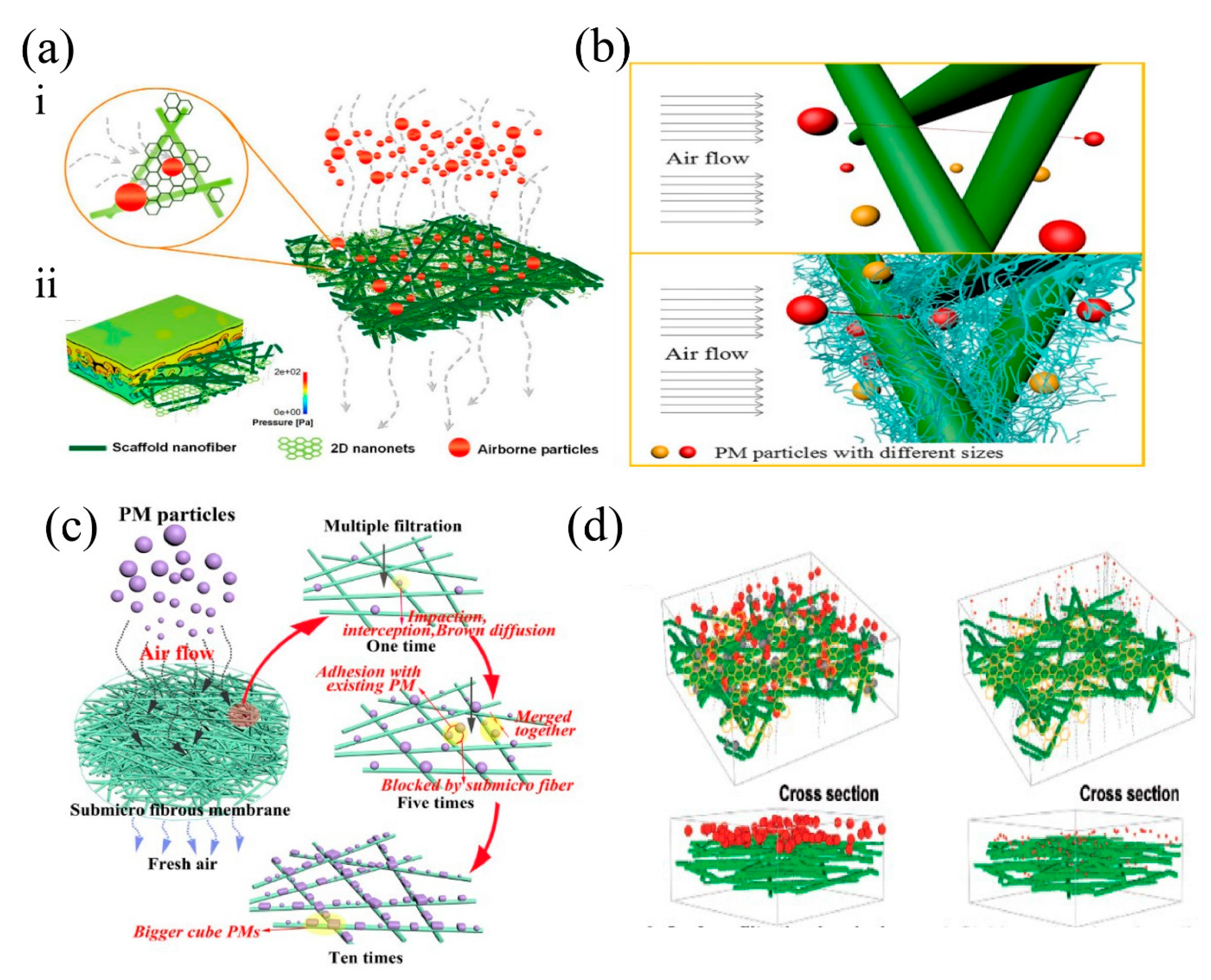 Nanomaterials 11 01501 g008