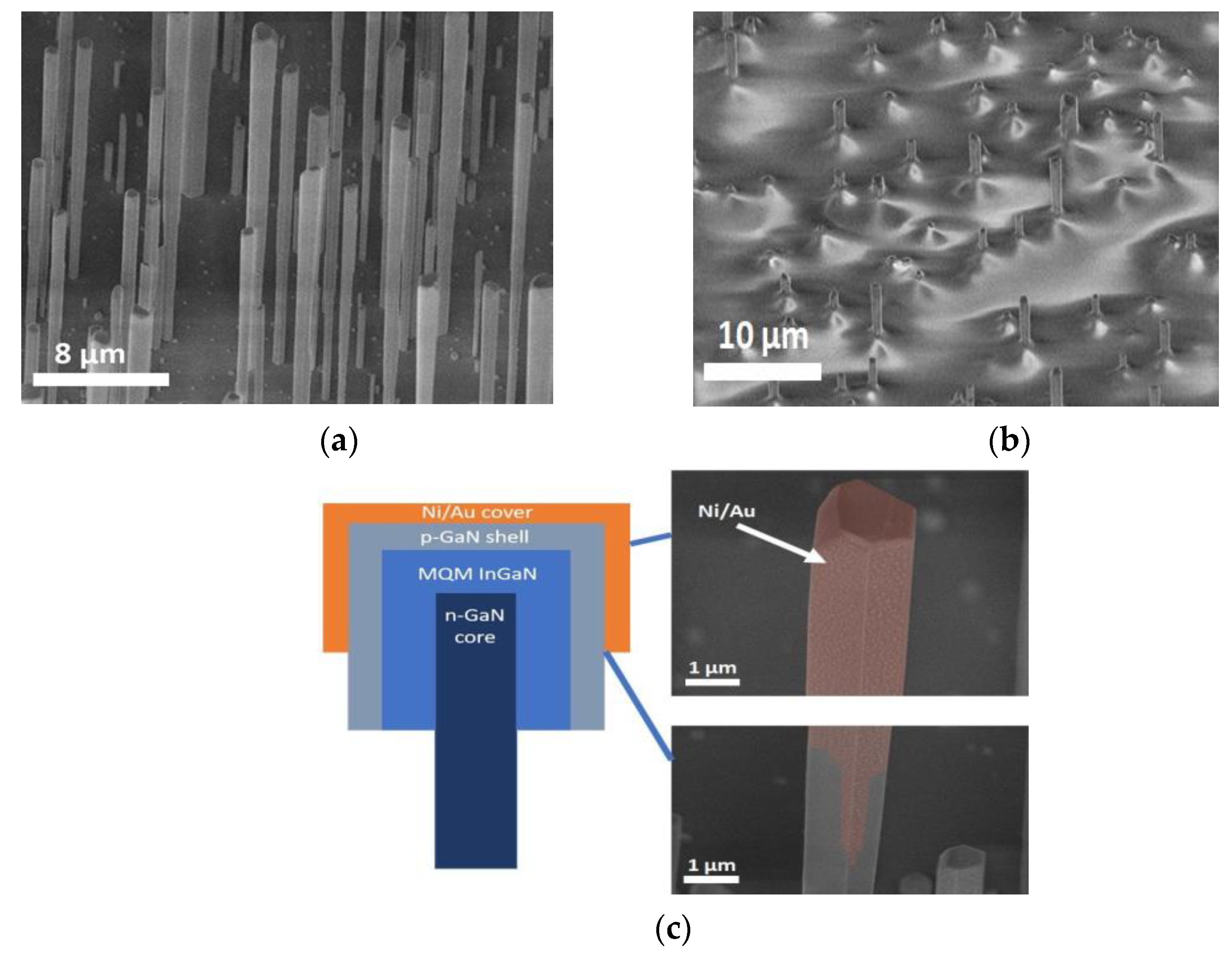 Nanomaterials 11 01503 g001