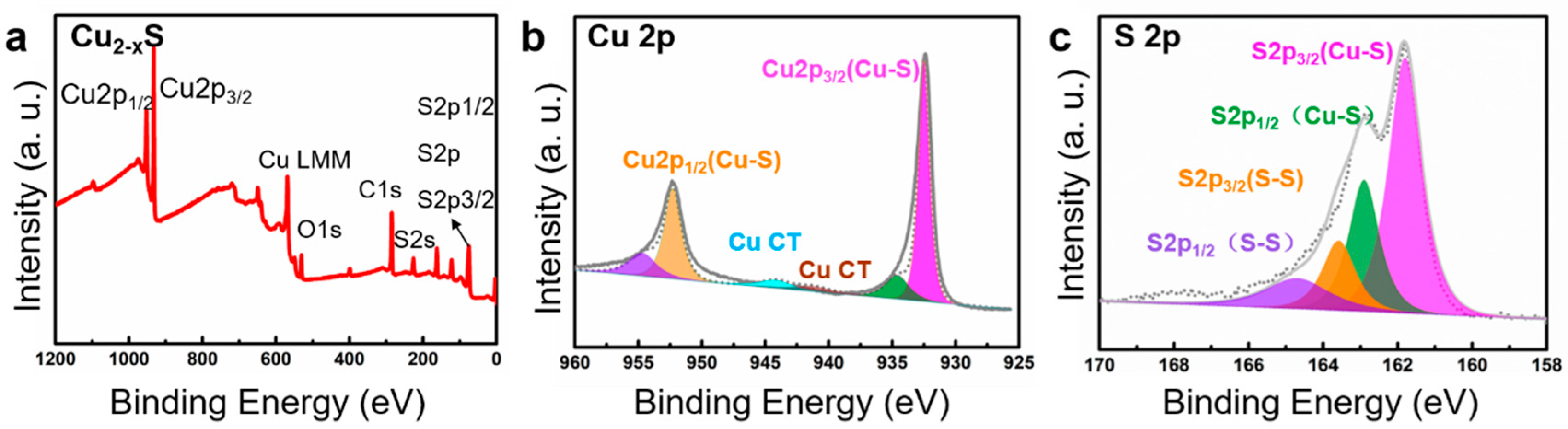 Nanomaterials 11 01505 g005