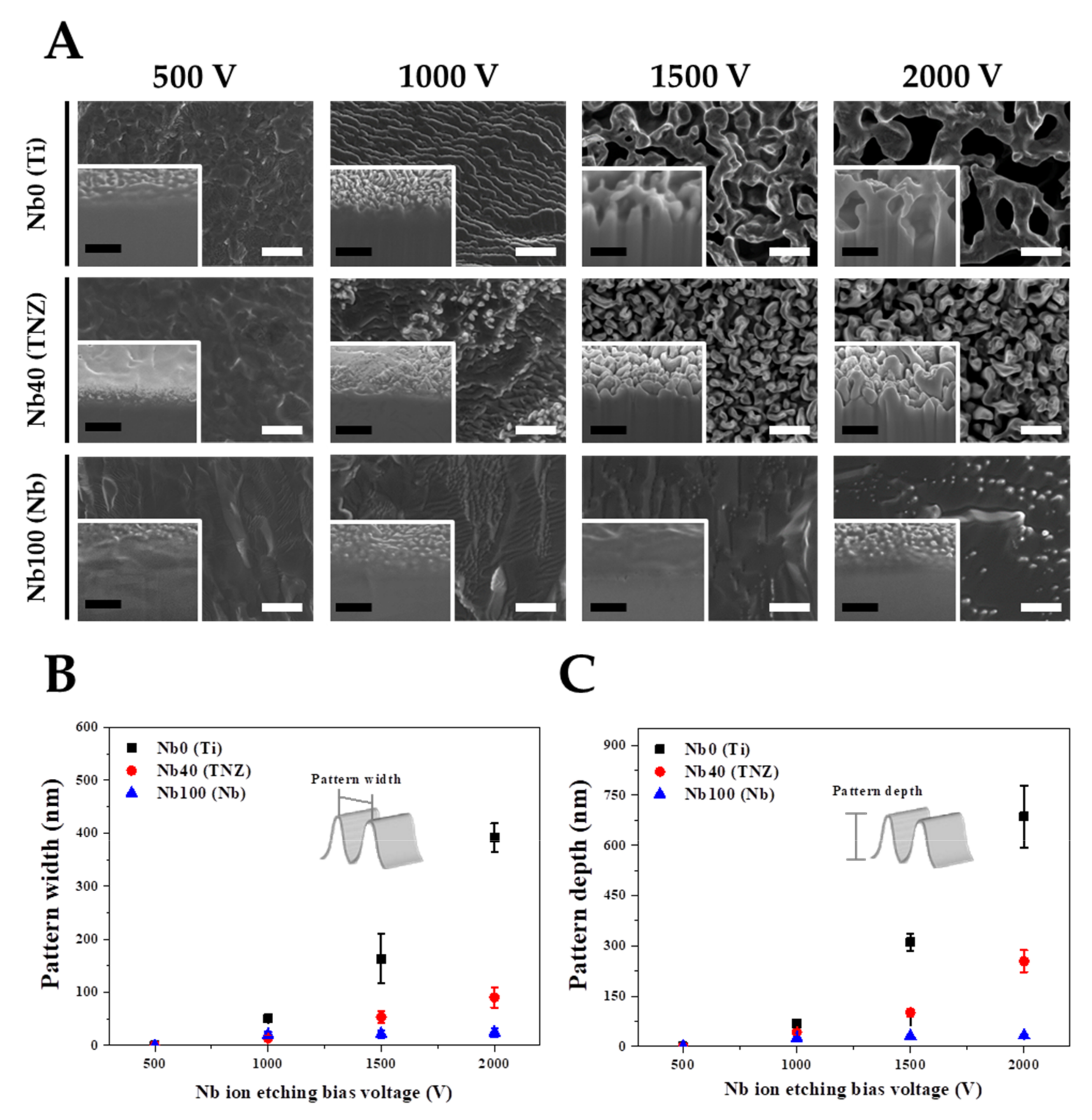Nanomaterials 11 01507 g001 Nanomaterials 11 01507 g001