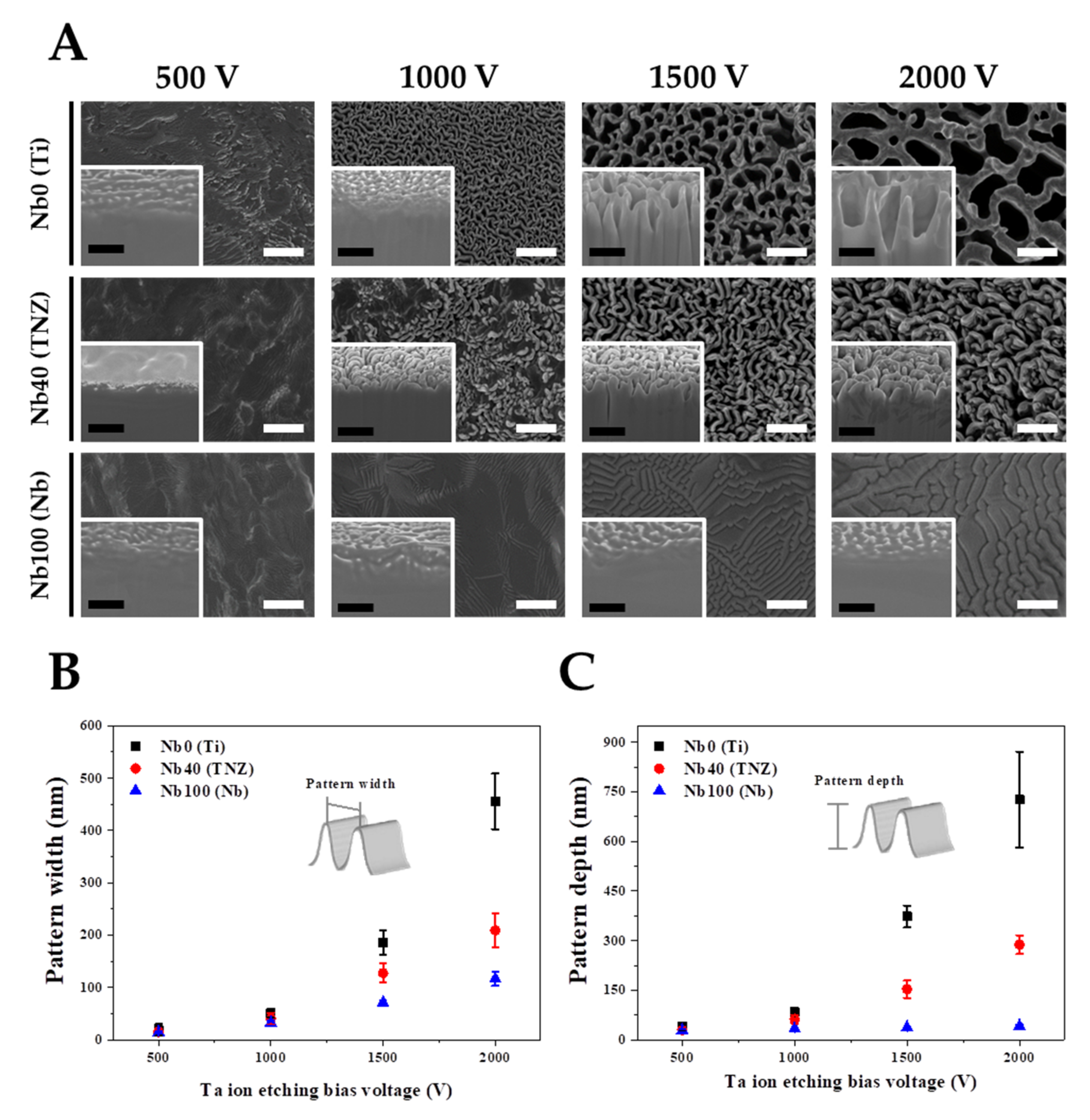 Nanomaterials 11 01507 g002 Nanomaterials 11 01507 g002