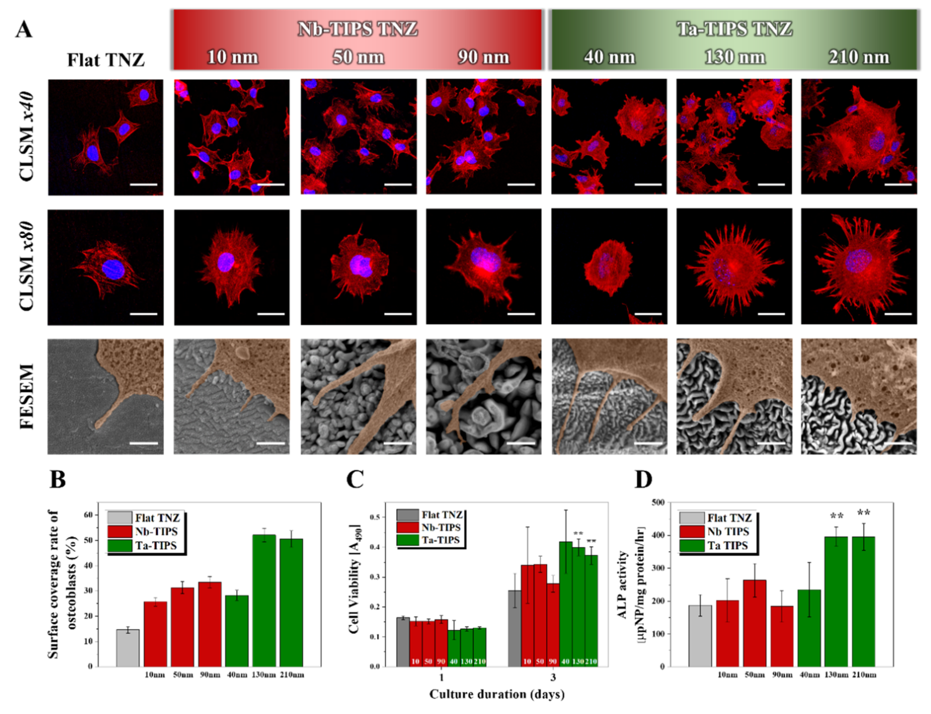 Nanomaterials 11 01507 g004 Nanomaterials 11 01507 g004