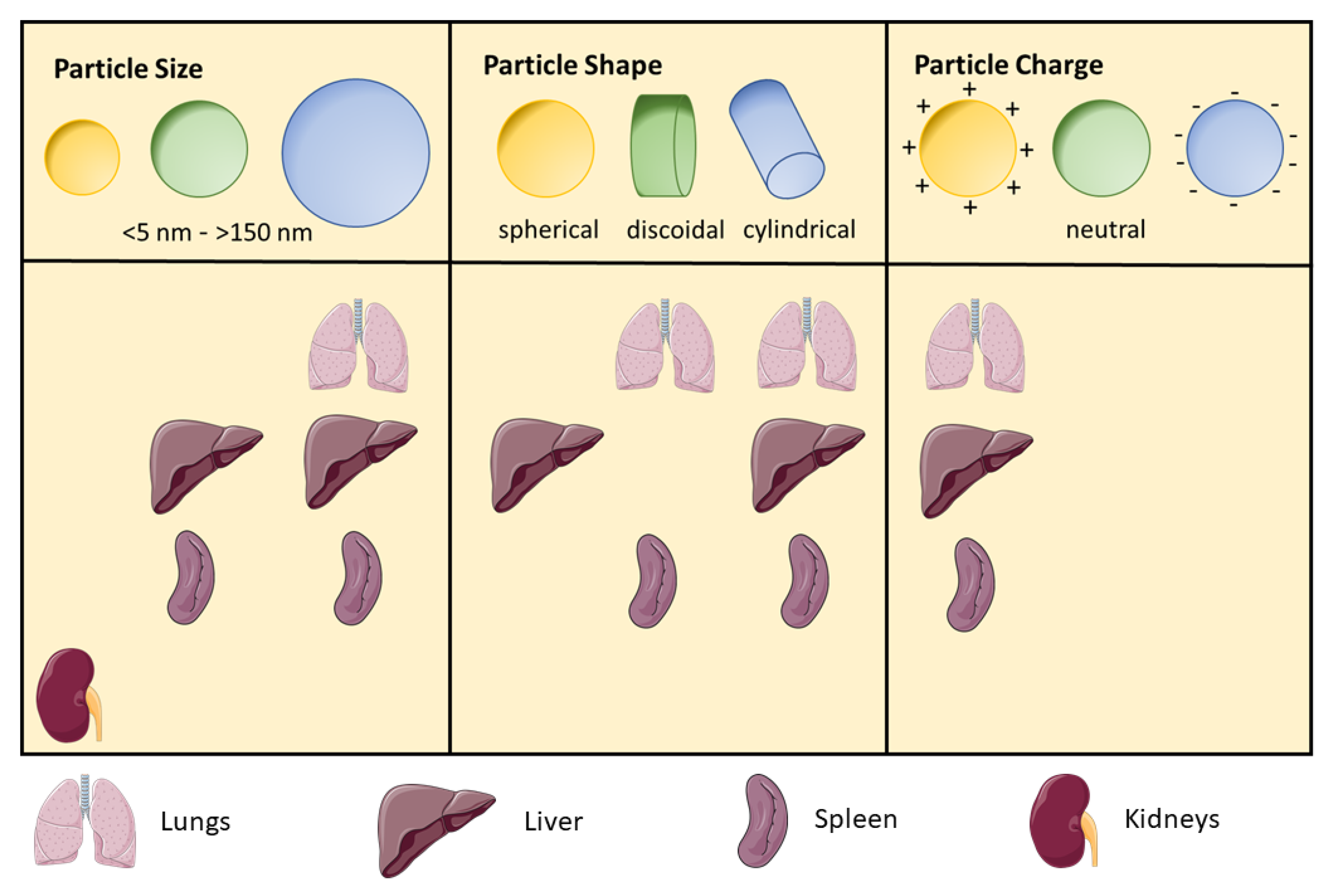 Nanomaterials 11 01508 g002