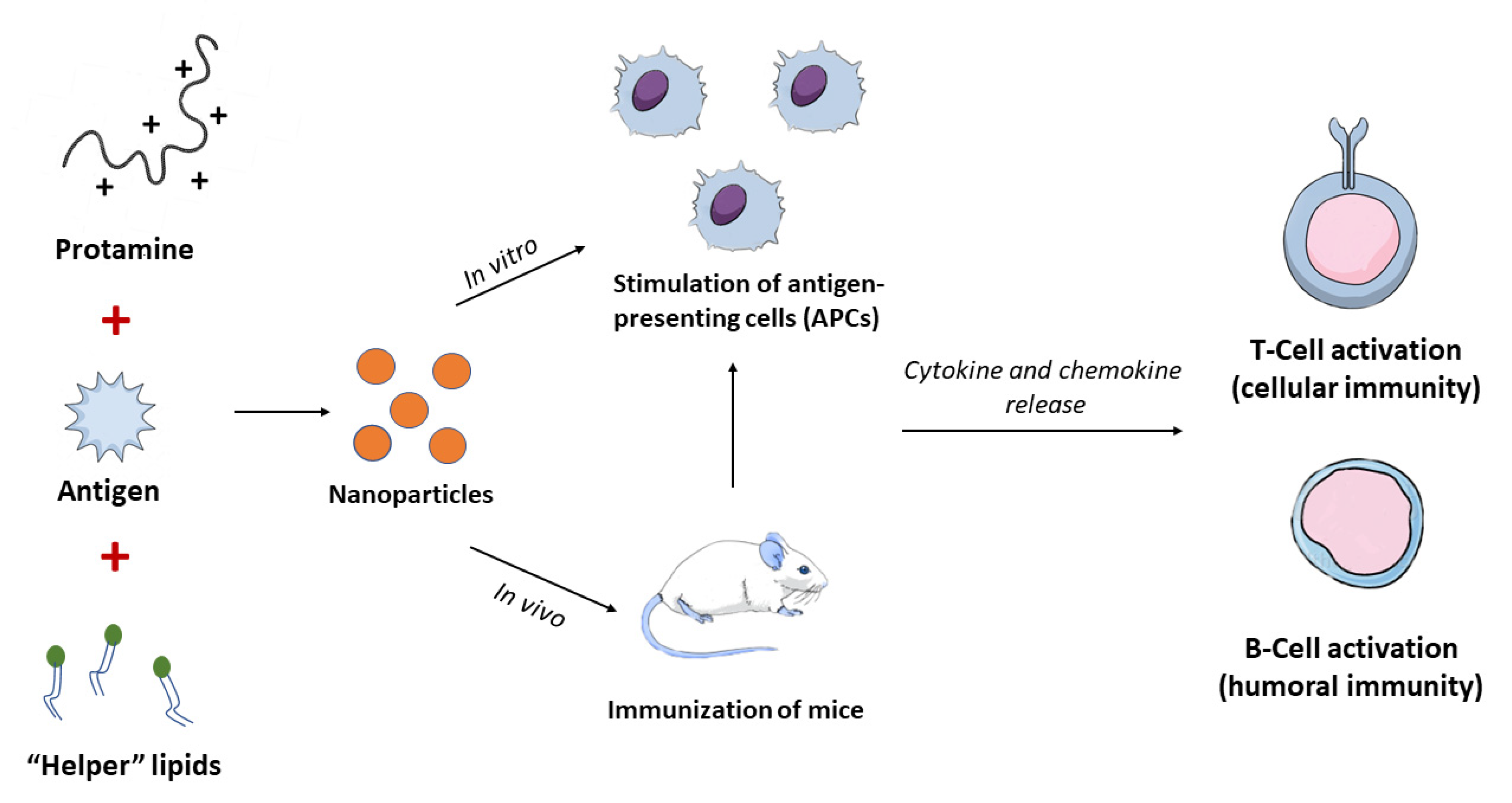 Nanomaterials 11 01508 g008