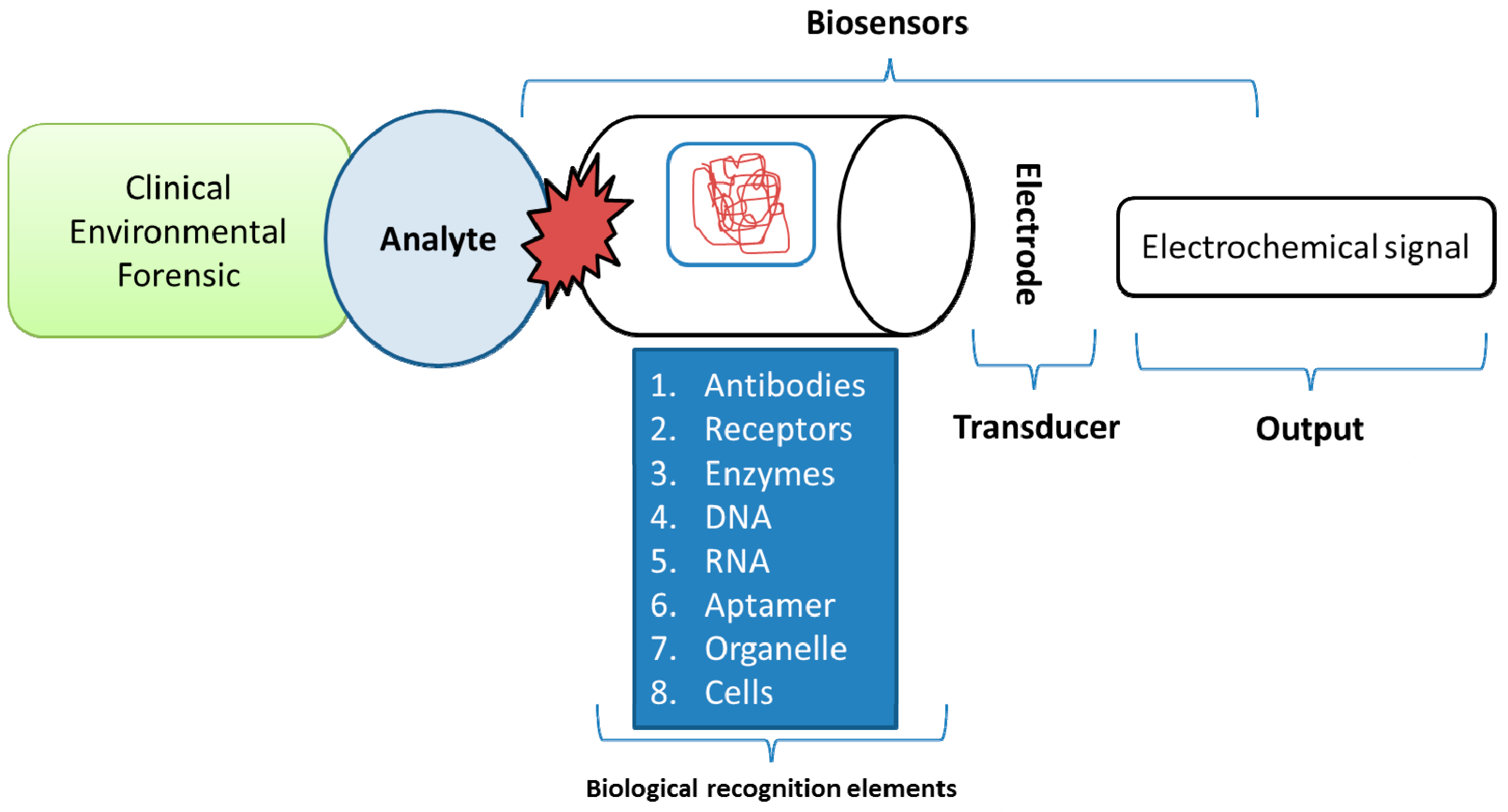 Nanomaterials 11 01515 g001