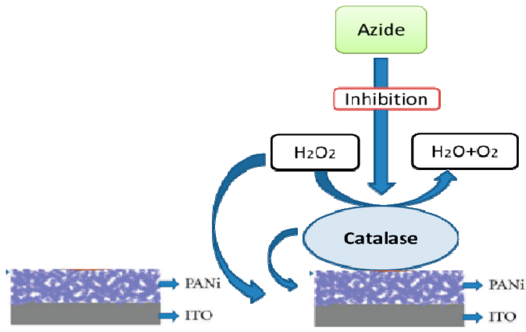 Nanomaterials 11 01515 g002
