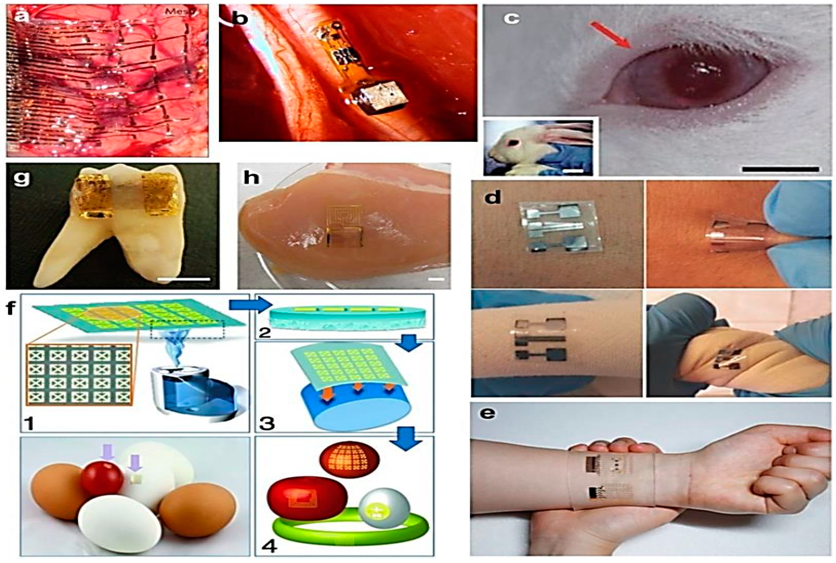 Nanomaterials 11 01515 g009