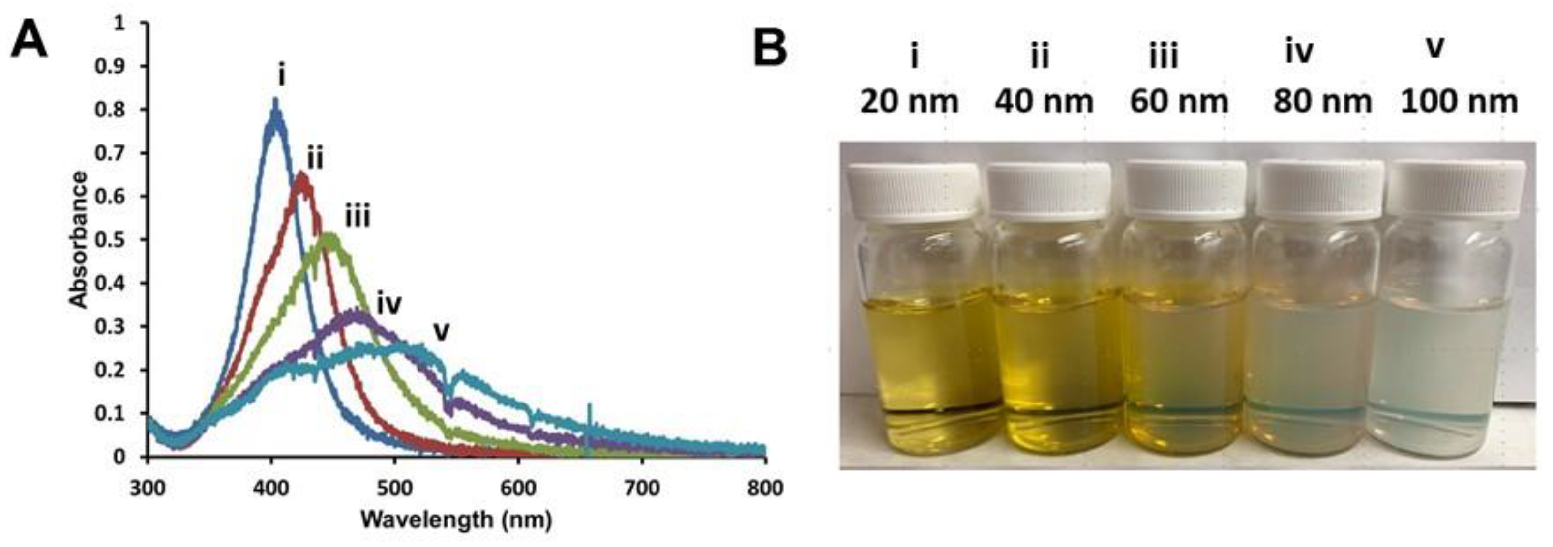 Nanomaterials 11 01516 g001 Nanomaterials 11 01516 g001