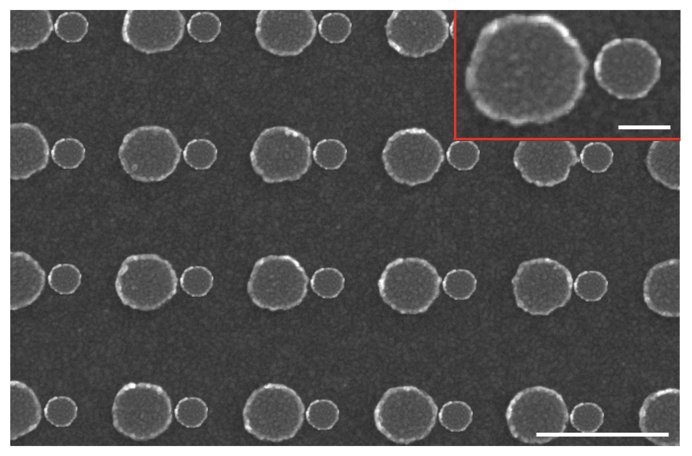 Nanomaterials 11 01521 g003