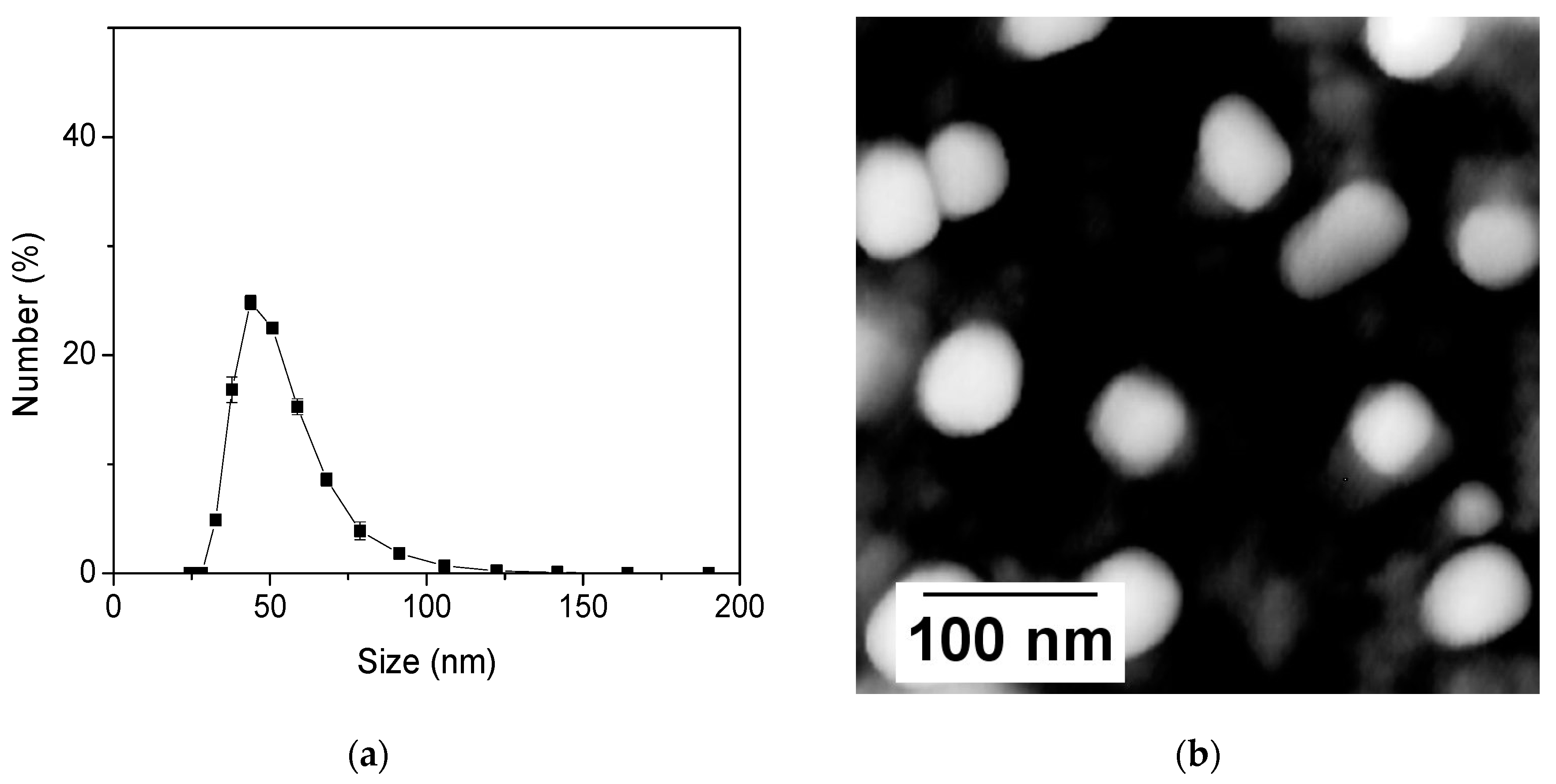 Nanomaterials 11 01524 g001 Nanomaterials 11 01524 g001