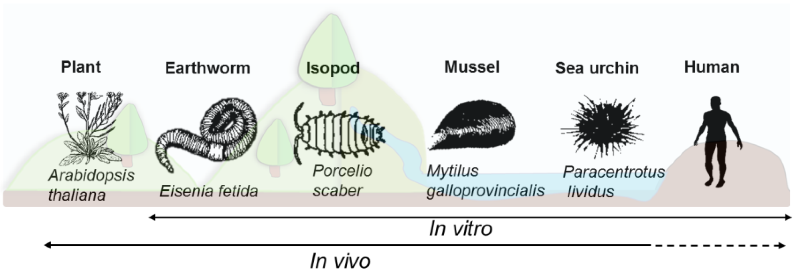 Nanomaterials 11 01528 g002 Nanomaterials 11 01528 g002