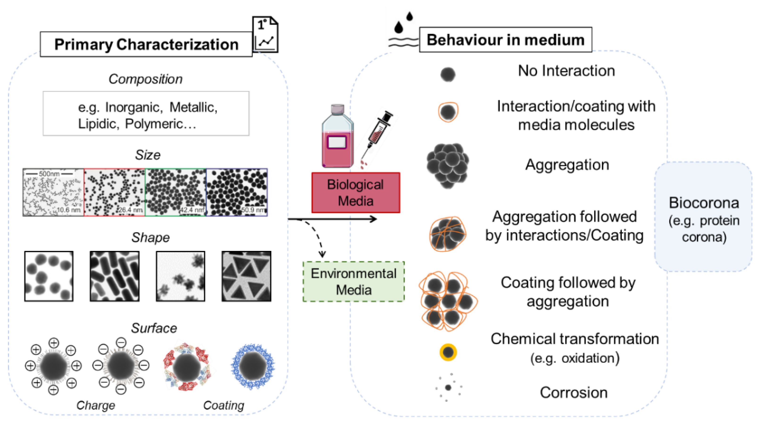 Nanomaterials 11 01528 g003 Nanomaterials 11 01528 g003