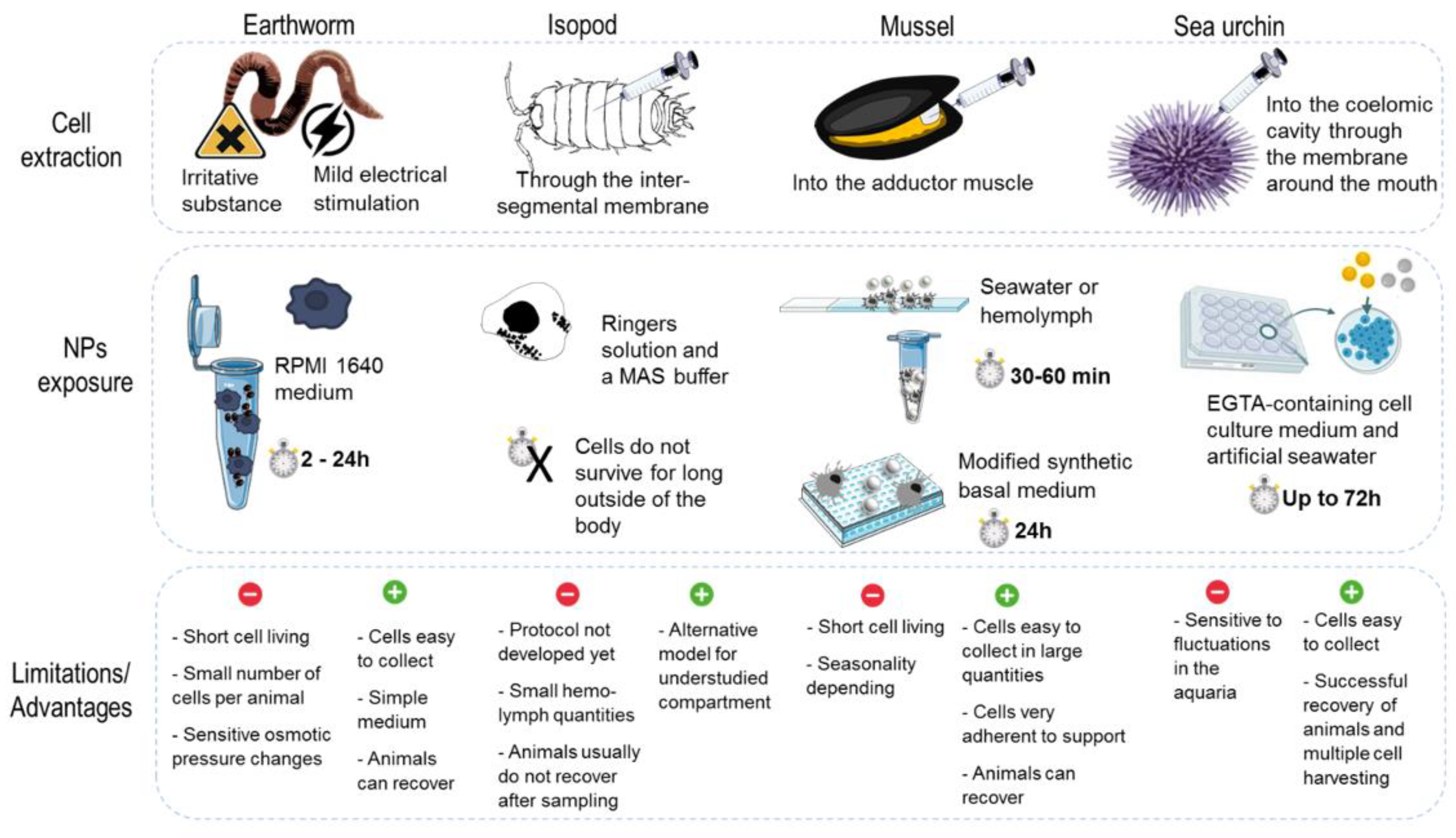 Nanomaterials 11 01528 g004 Nanomaterials 11 01528 g004