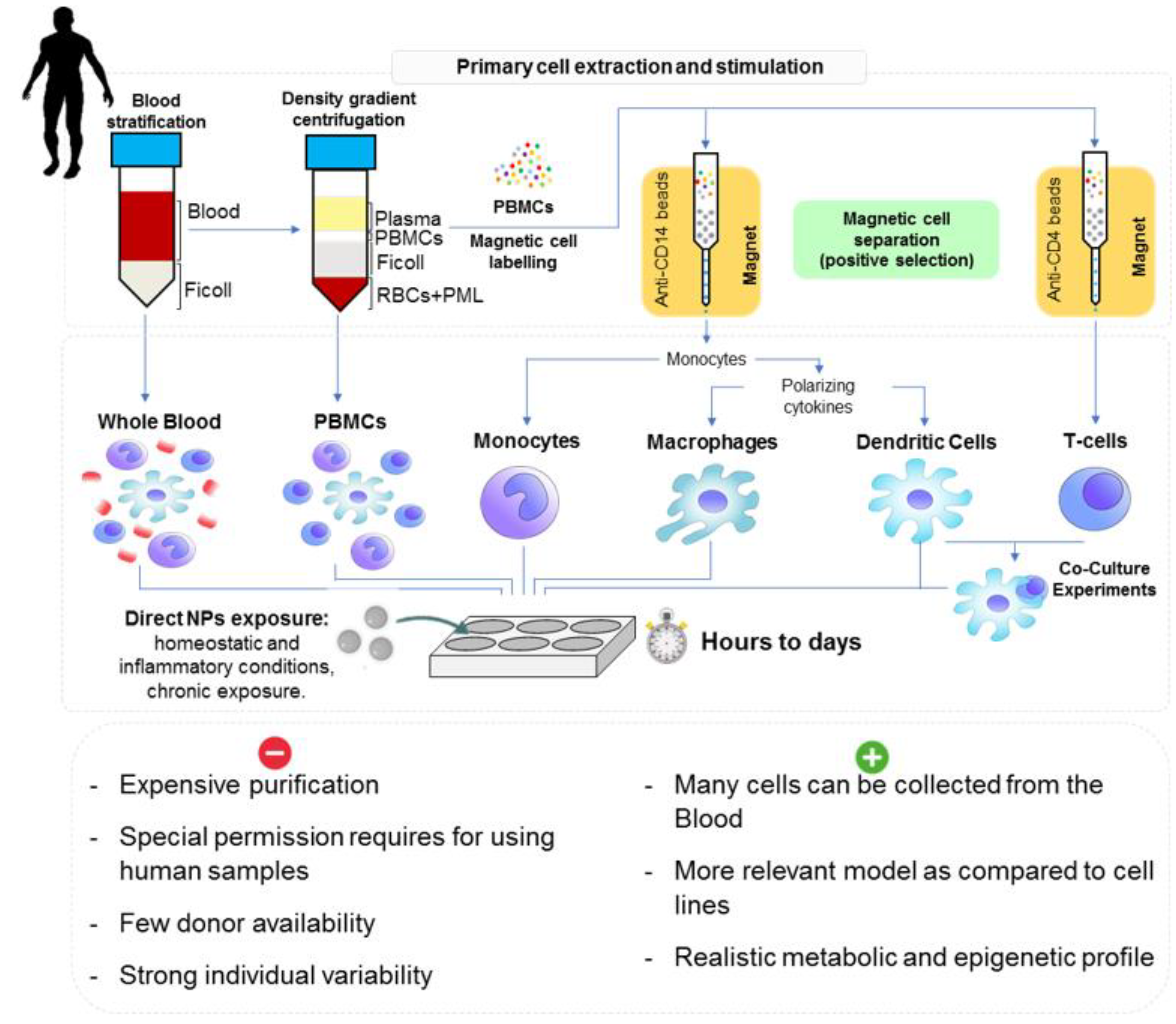 Nanomaterials 11 01528 g005 Nanomaterials 11 01528 g005