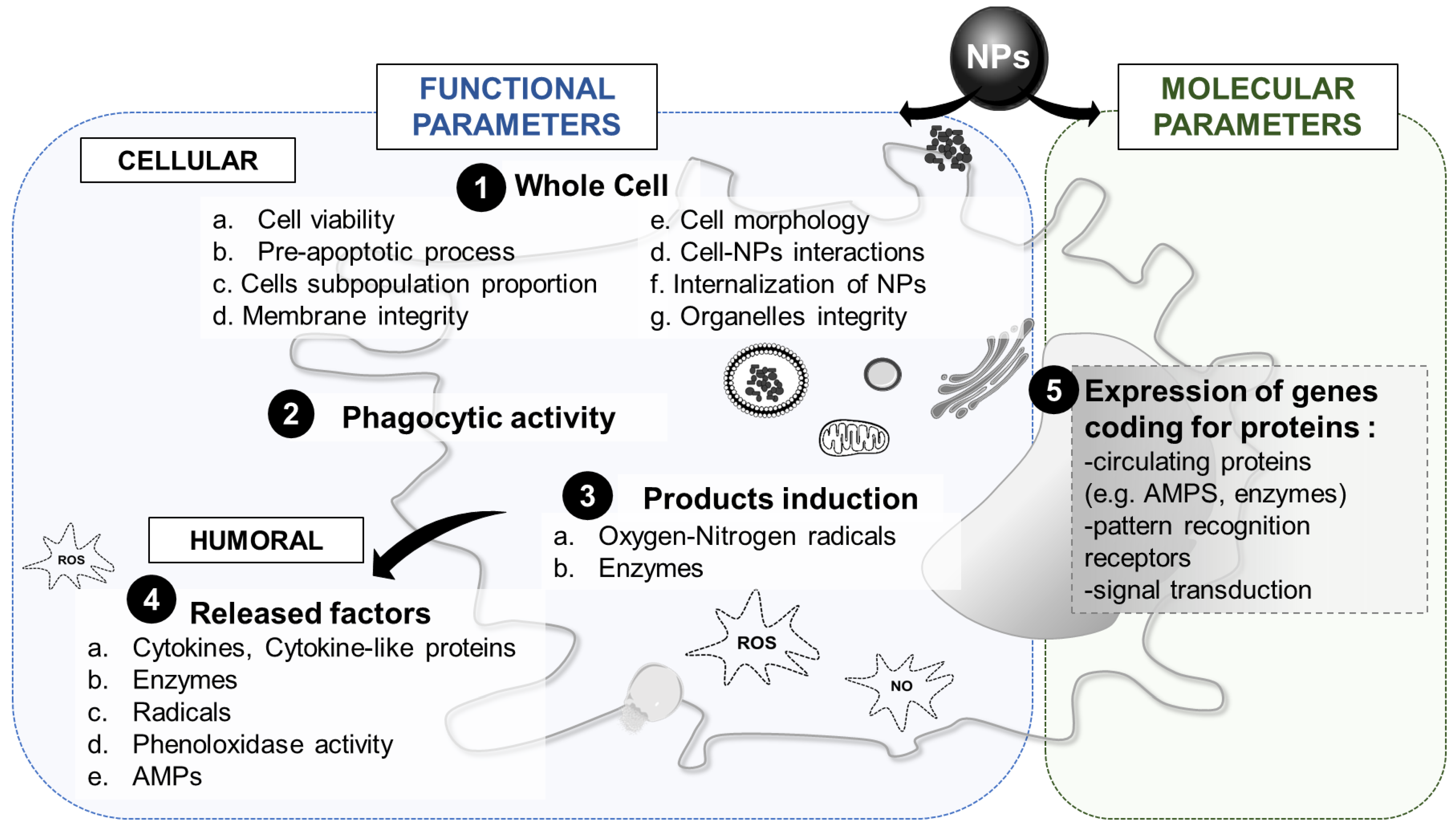 Nanomaterials 11 01528 g007 Nanomaterials 11 01528 g007