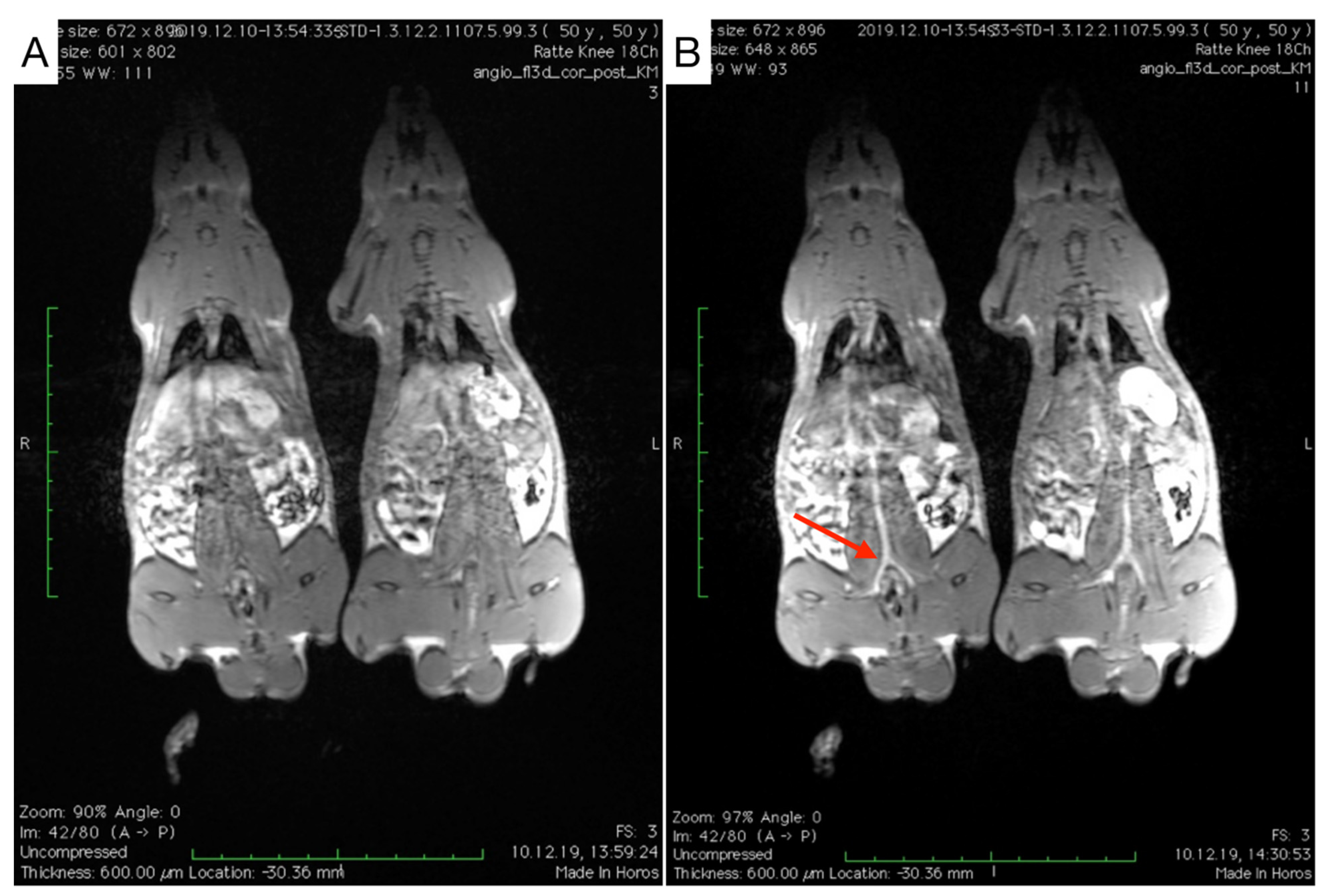 Nanomaterials 11 01532 g008 Nanomaterials 11 01532 g008