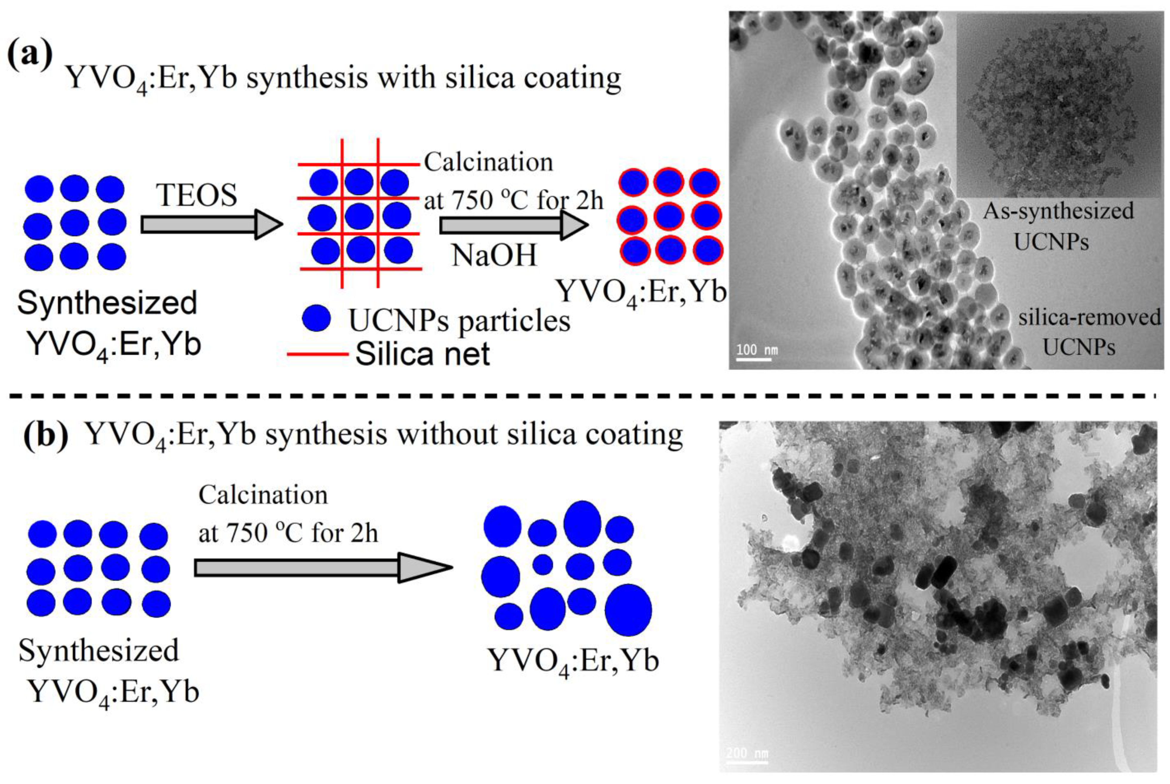 Nanomaterials 11 01535 g001