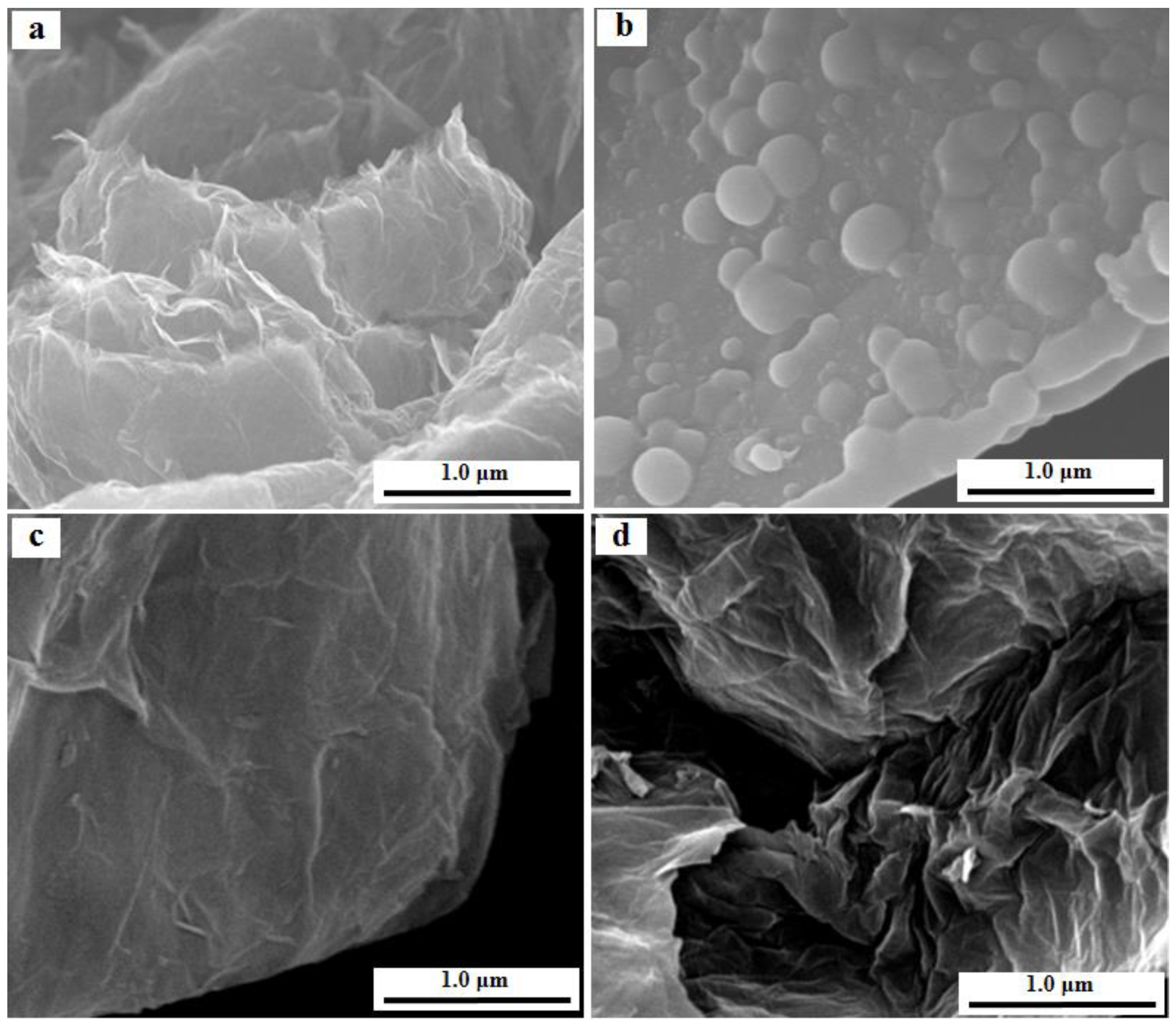 Nanomaterials 11 01540 g003 Nanomaterials 11 01540 g003