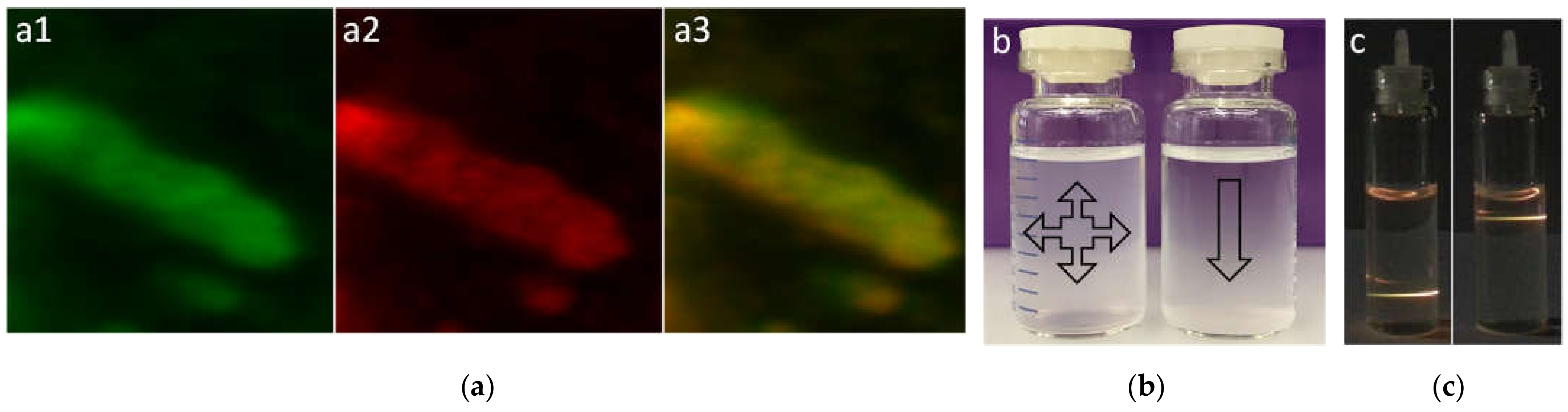 Nanomaterials 11 01541 g002 Nanomaterials 11 01541 g002