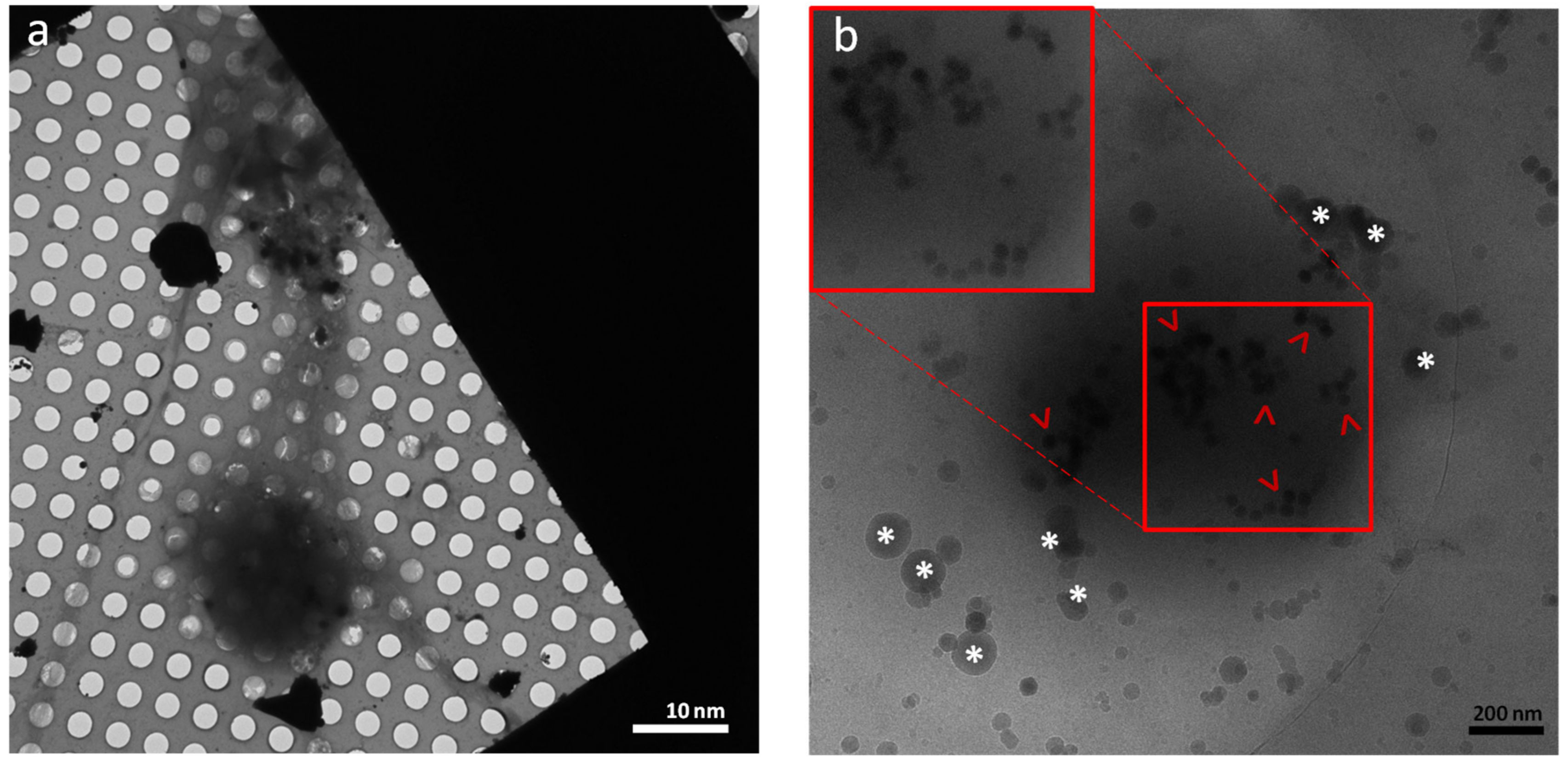 Nanomaterials 11 01541 g004 Nanomaterials 11 01541 g004
