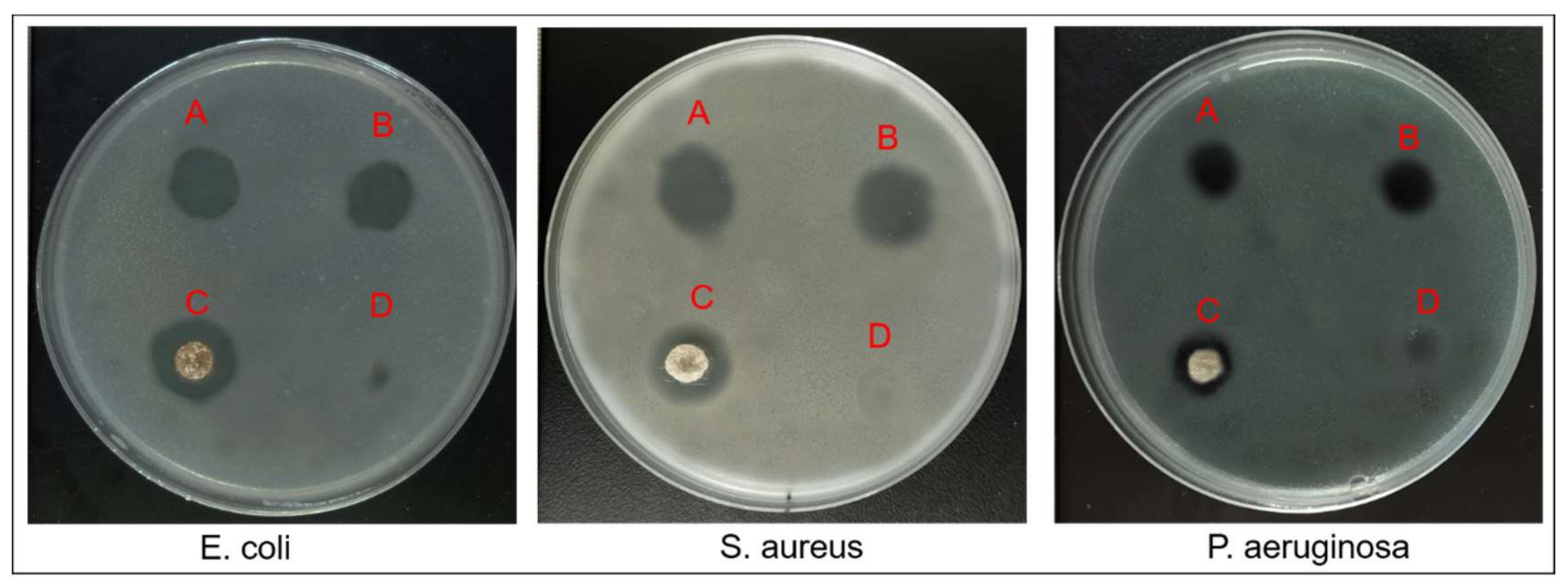Nanomaterials 11 01546 g011 Nanomaterials 11 01546 g011