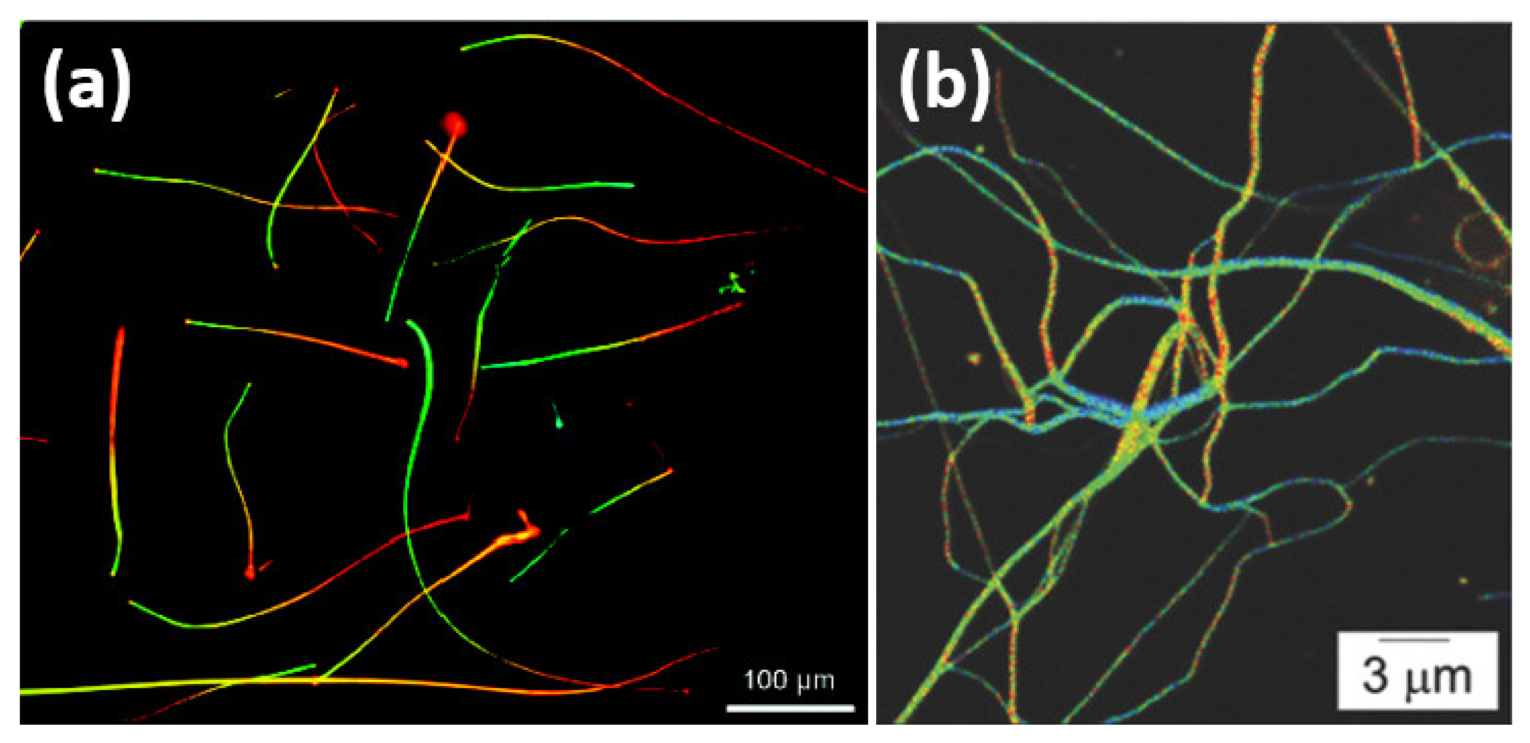 Nanomaterials 11 01549 g002