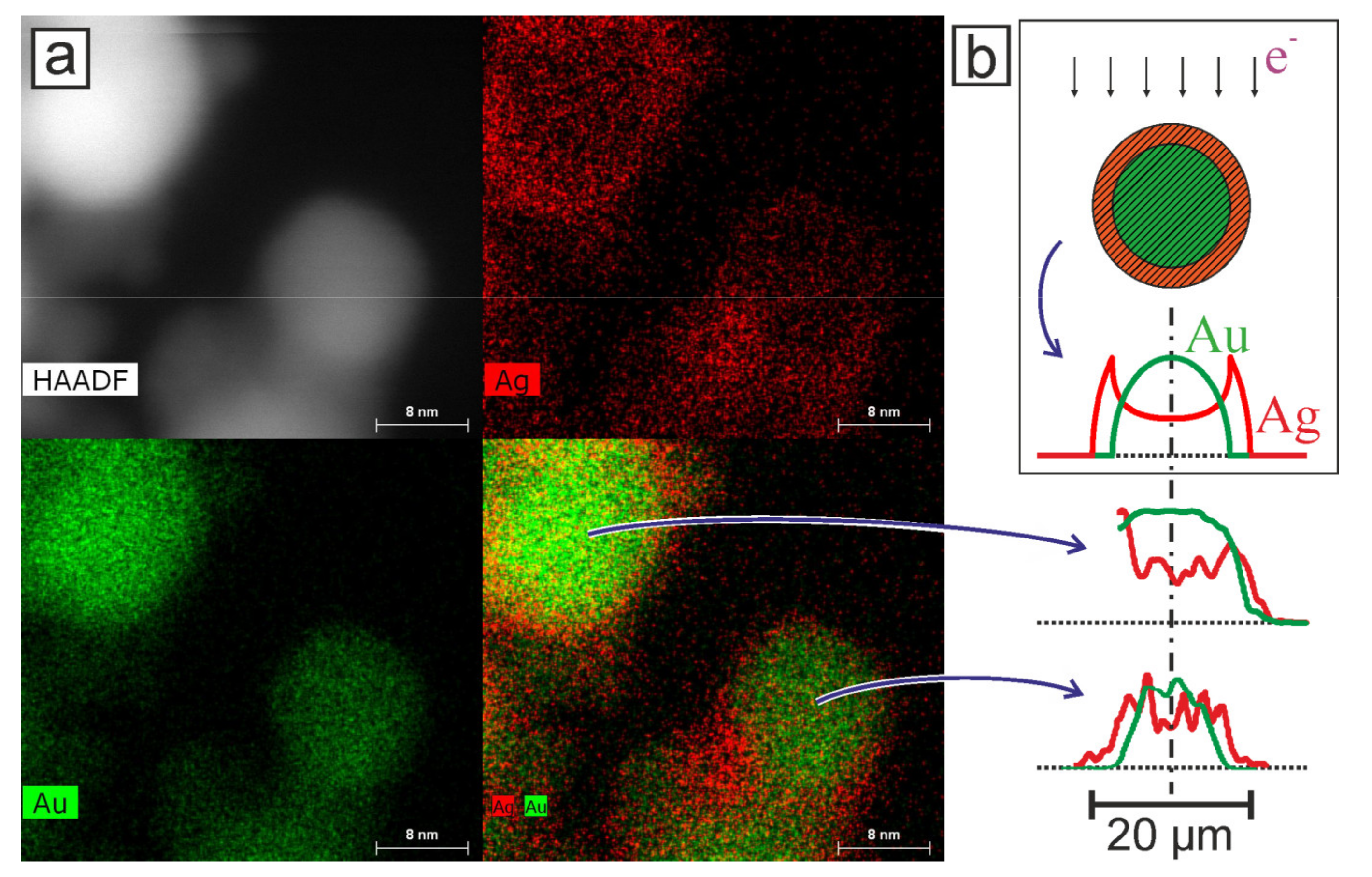 Nanomaterials 11 01553 g005