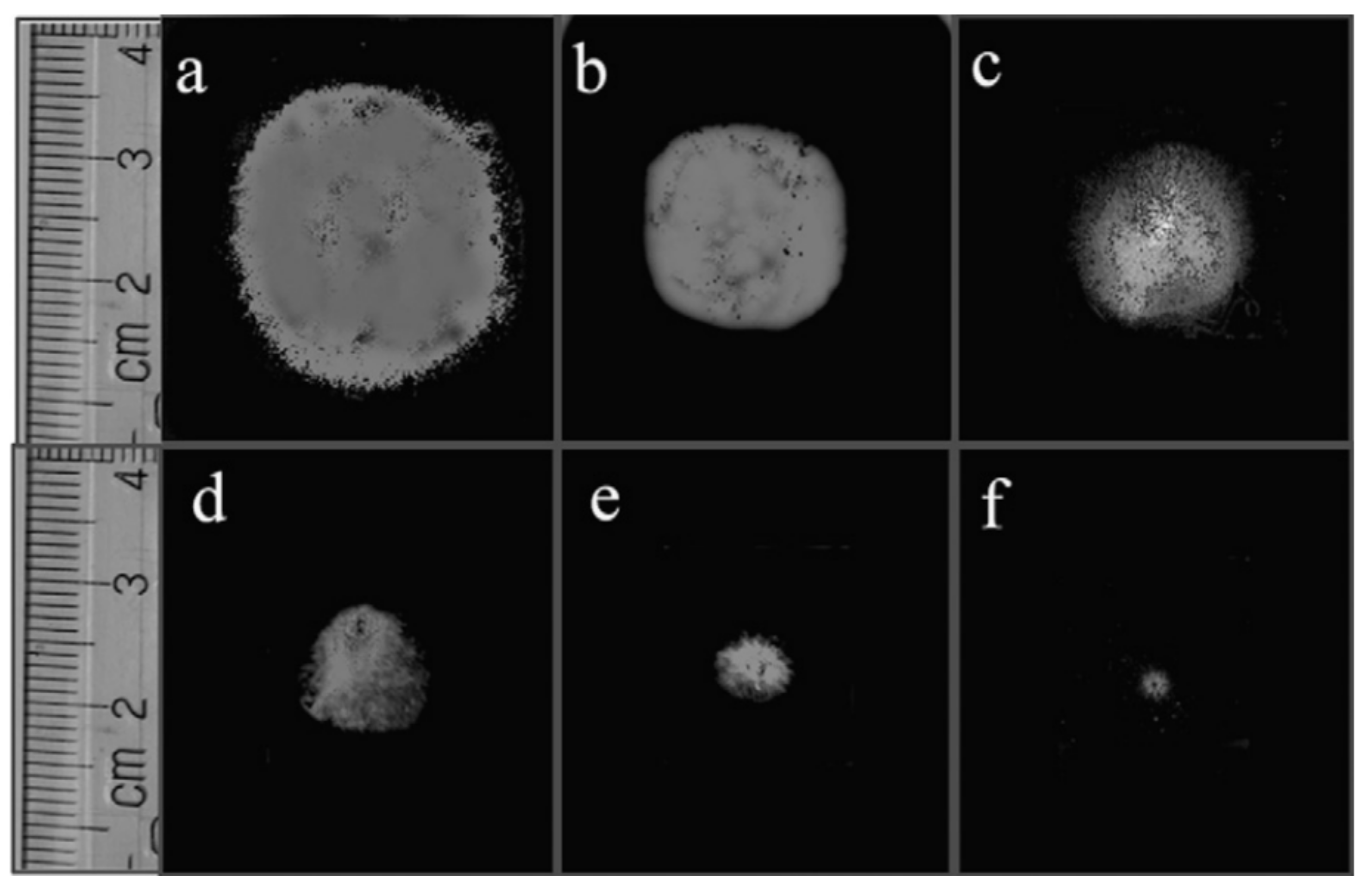 Nanomaterials 11 01555 g032 Nanomaterials 11 01555 g032
