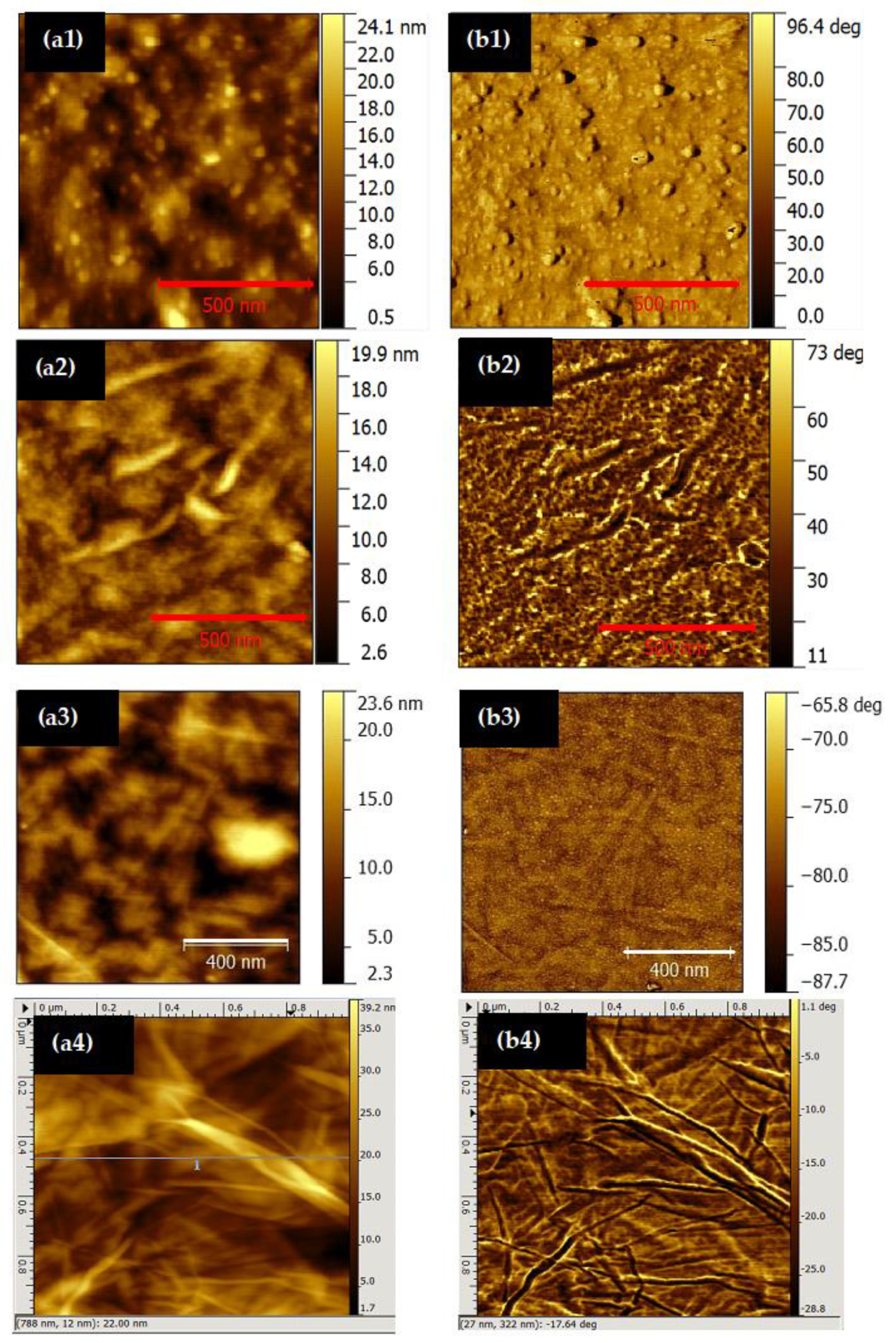 Nanomaterials 11 01556 g004 Nanomaterials 11 01556 g004