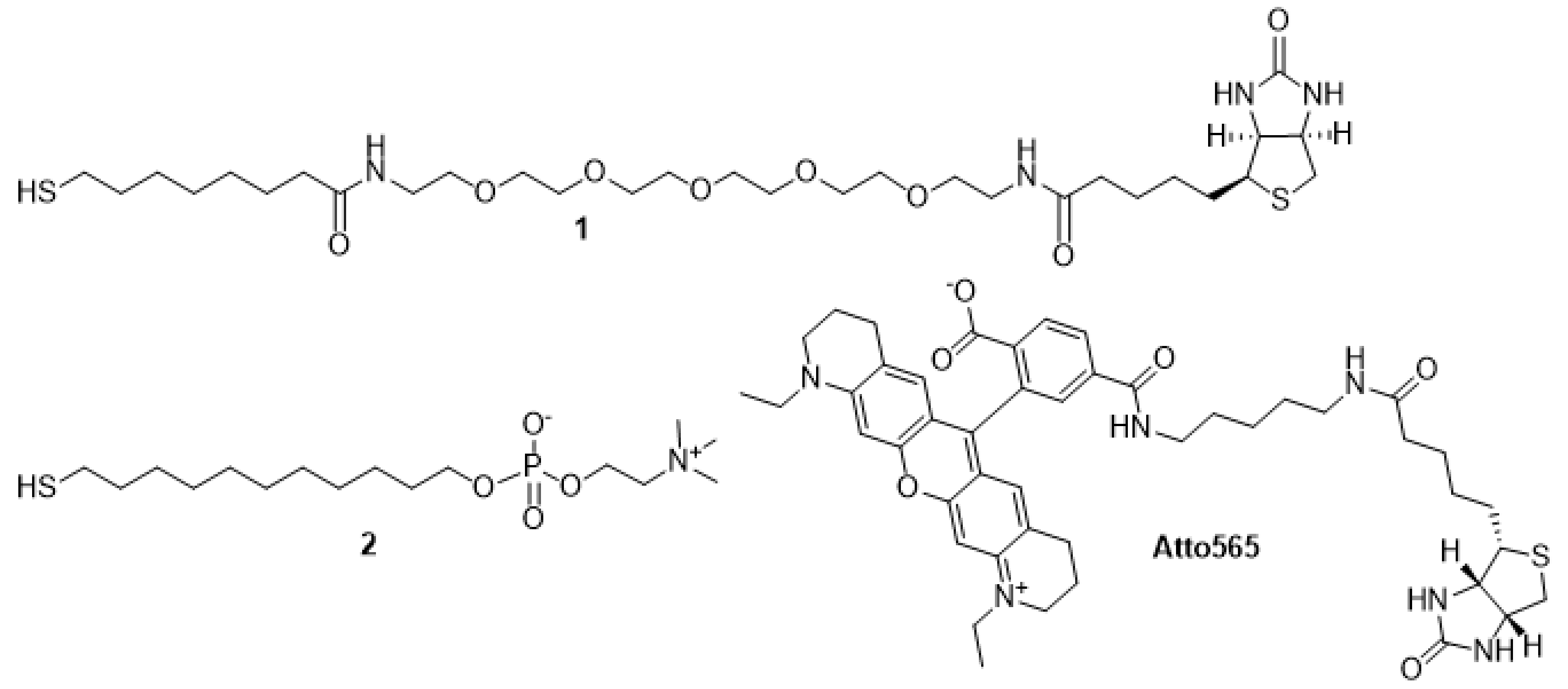 Nanomaterials 11 01559 g002