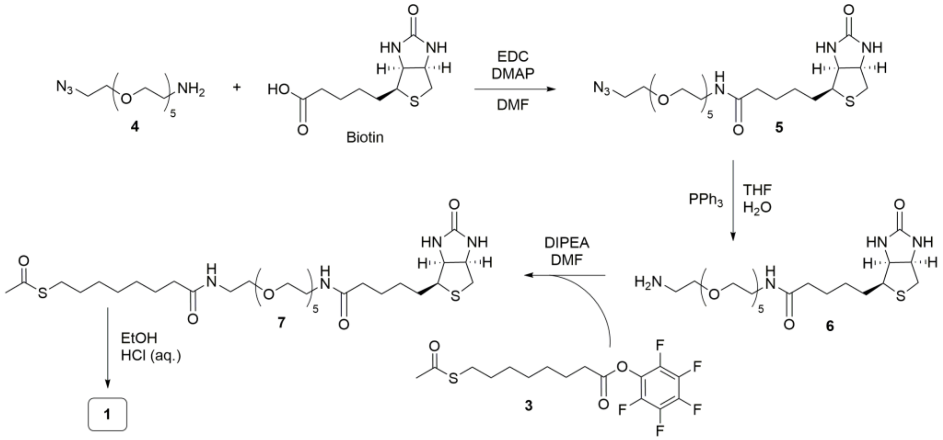 Nanomaterials 11 01559 sch001