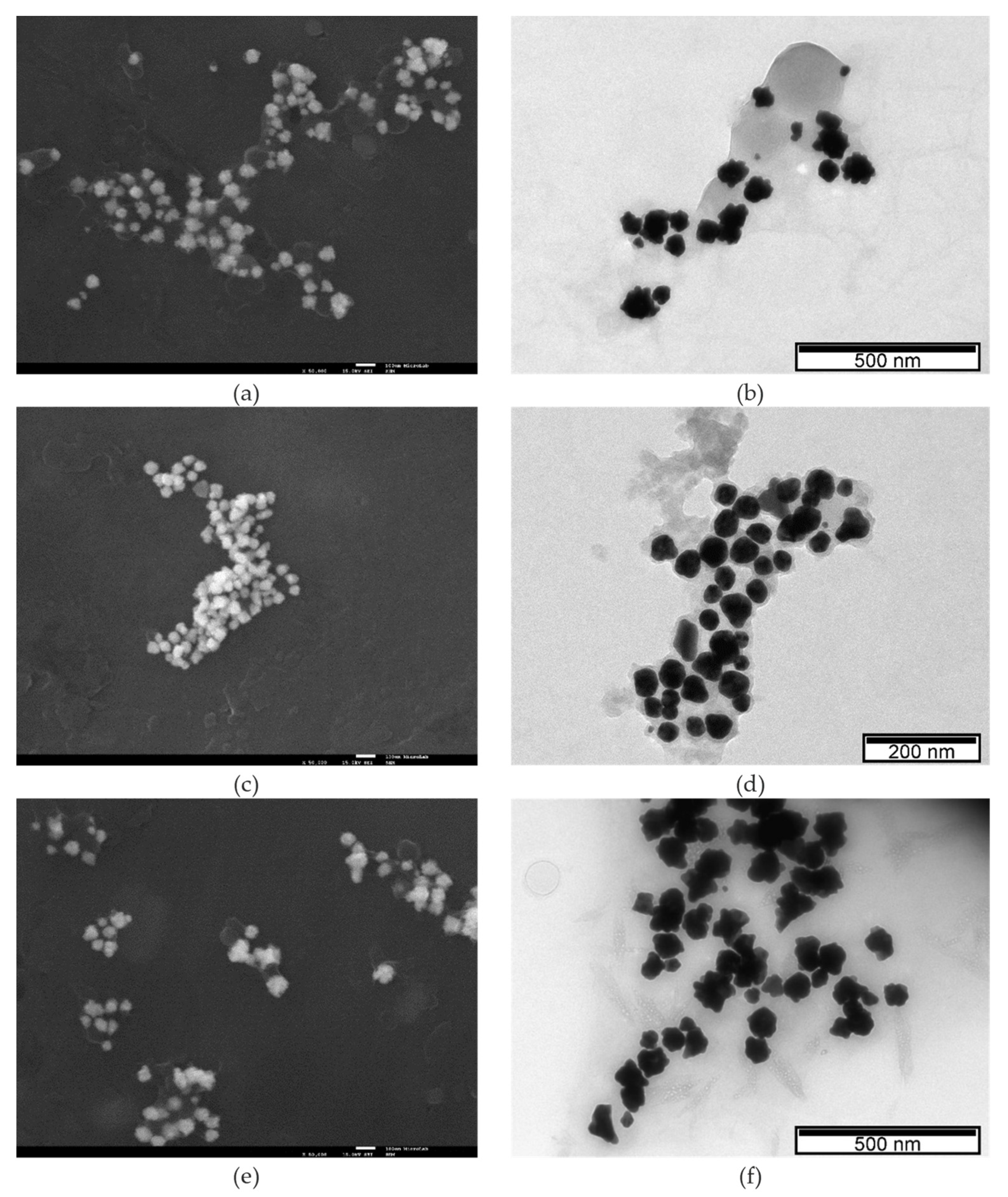 Nanomaterials 11 01562 g004 Nanomaterials 11 01562 g004