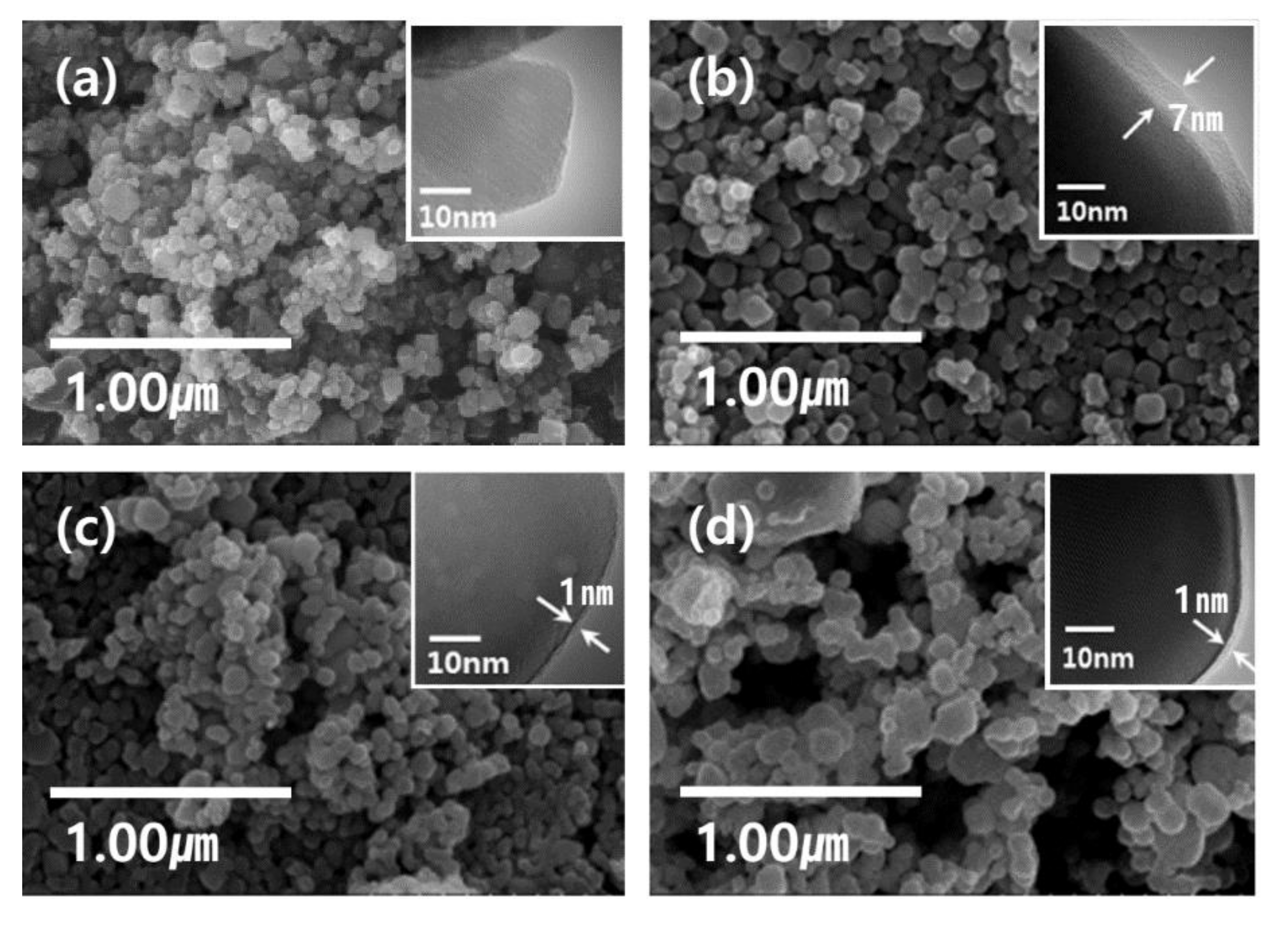 Nanomaterials 11 01563 g003