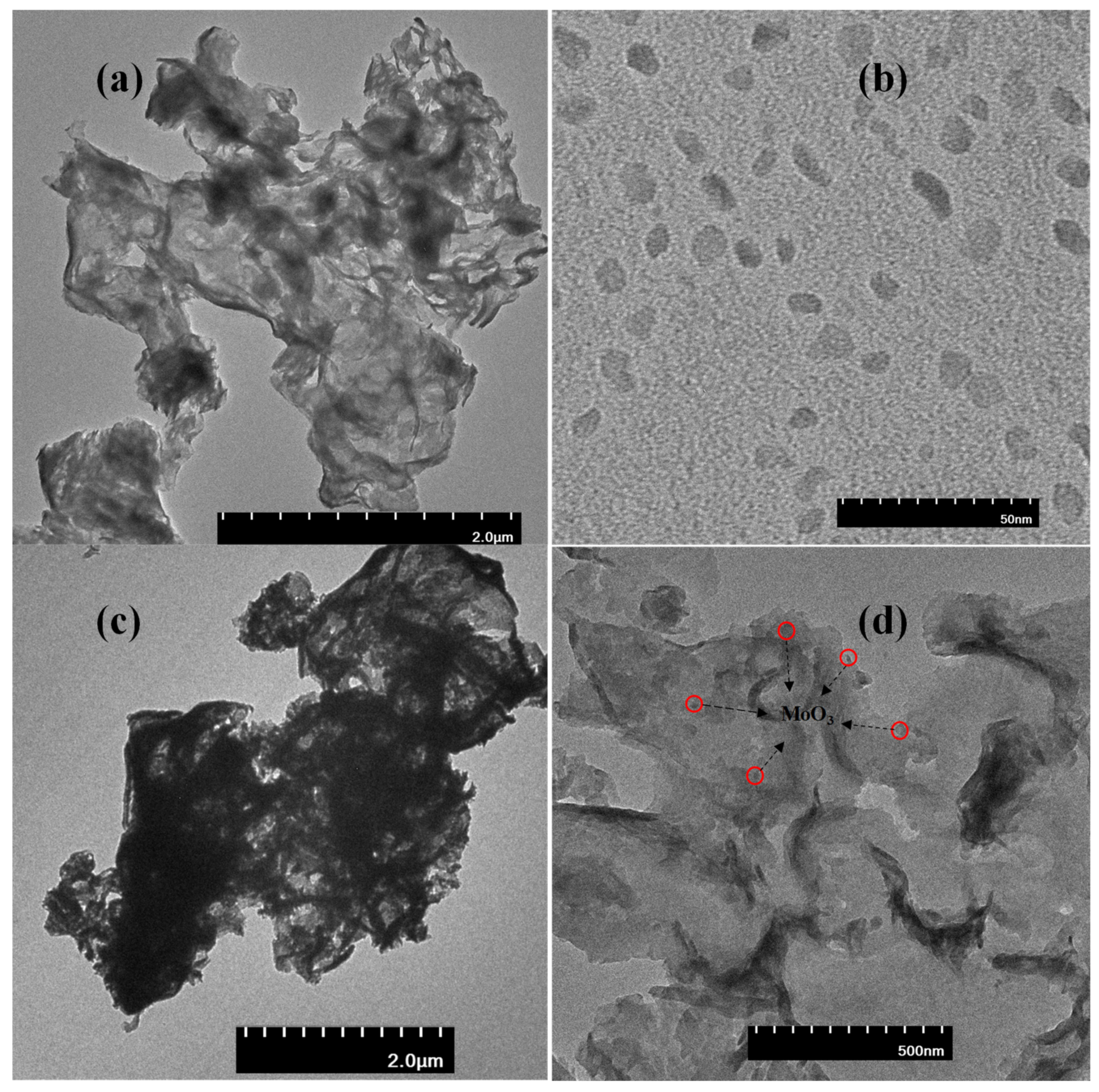 Nanomaterials 11 01564 g002 Nanomaterials 11 01564 g002