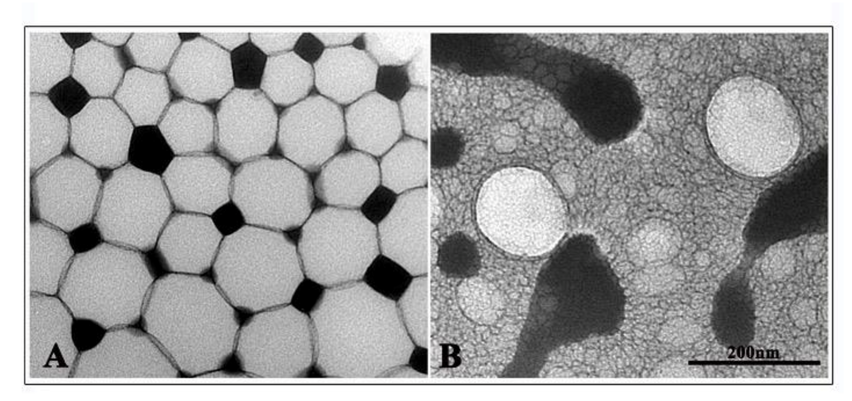 Nanomaterials 11 01569 g002 Nanomaterials 11 01569 g002