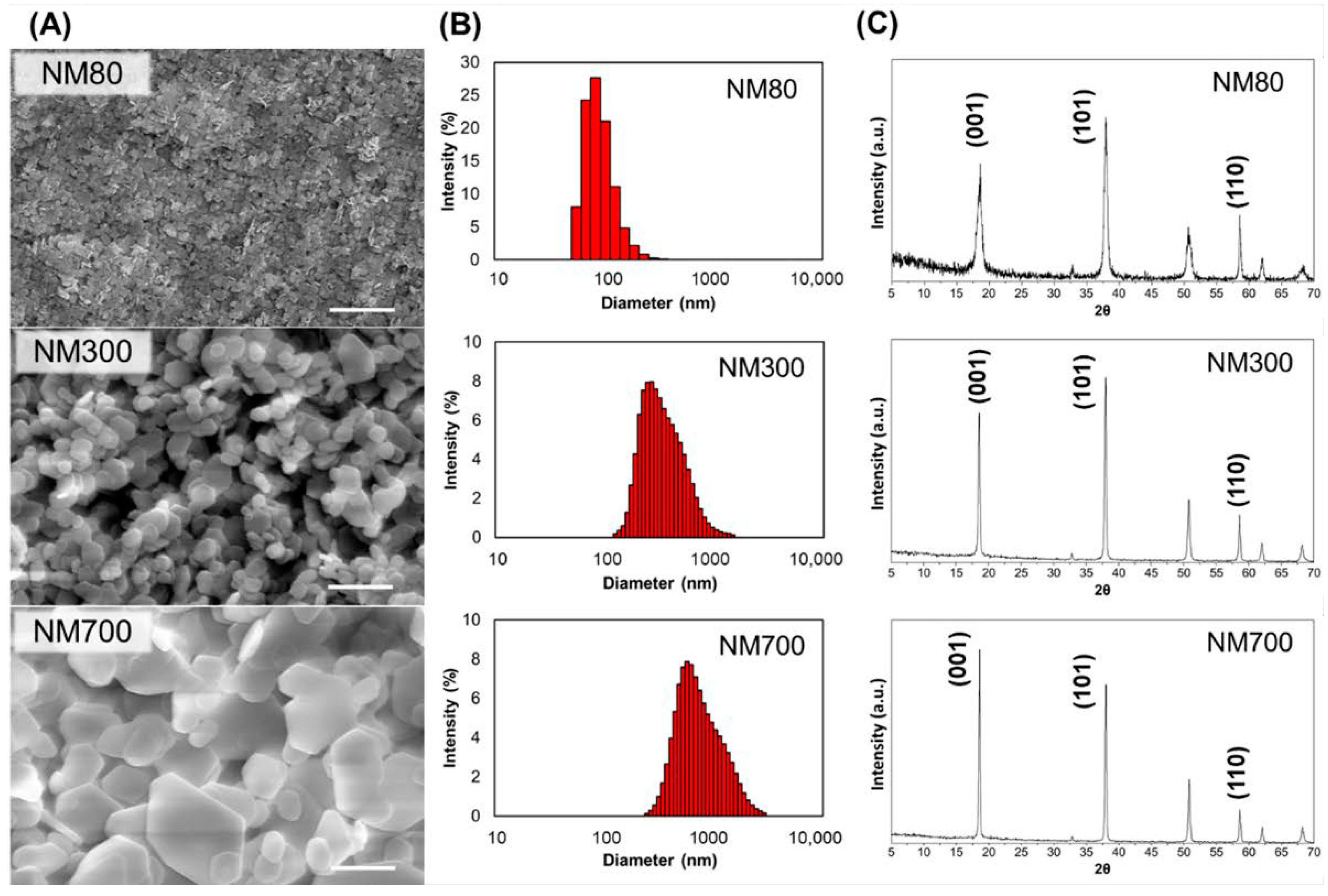 Nanomaterials 11 01584 g001 Nanomaterials 11 01584 g001