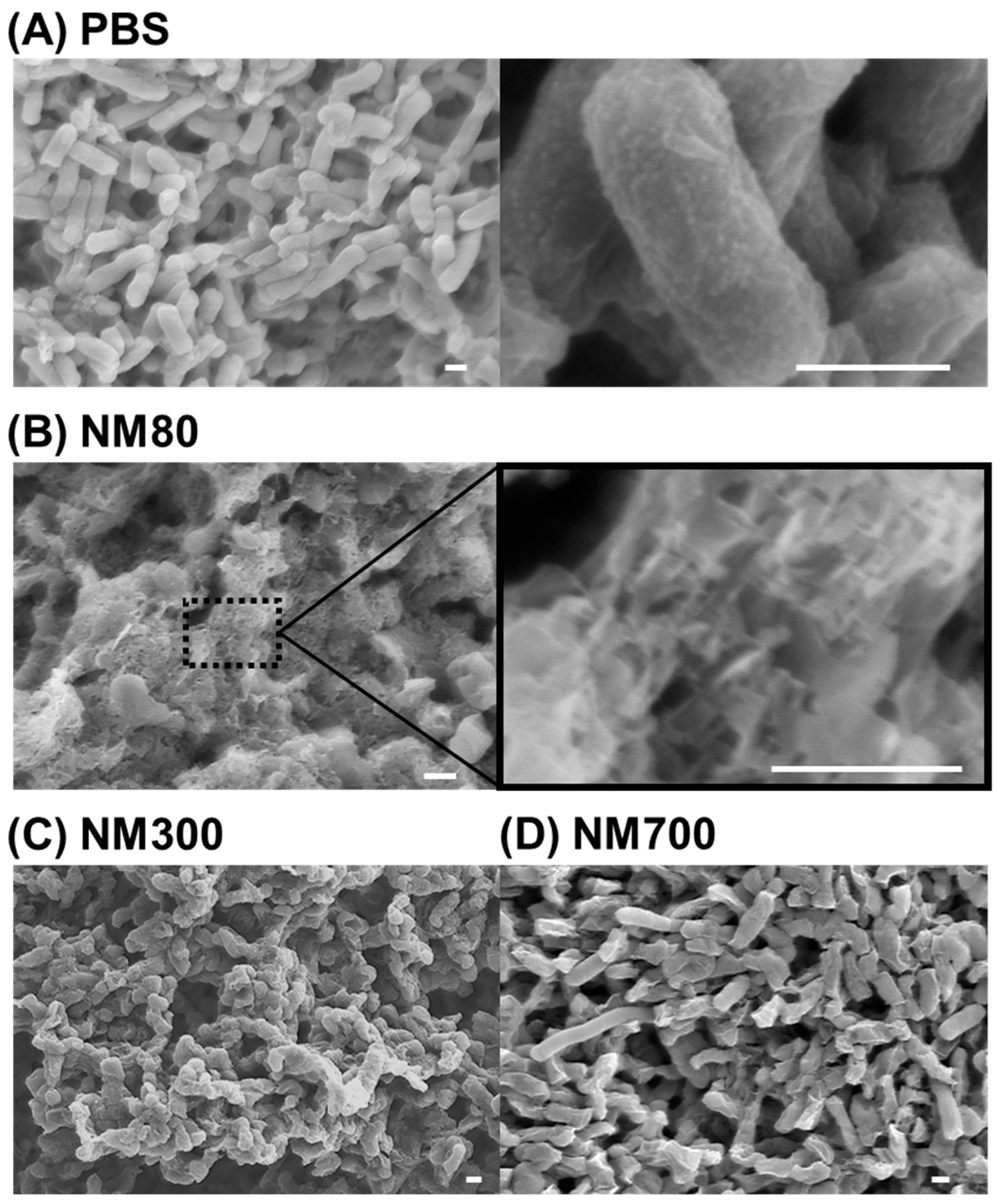 Nanomaterials 11 01584 g005 Nanomaterials 11 01584 g005