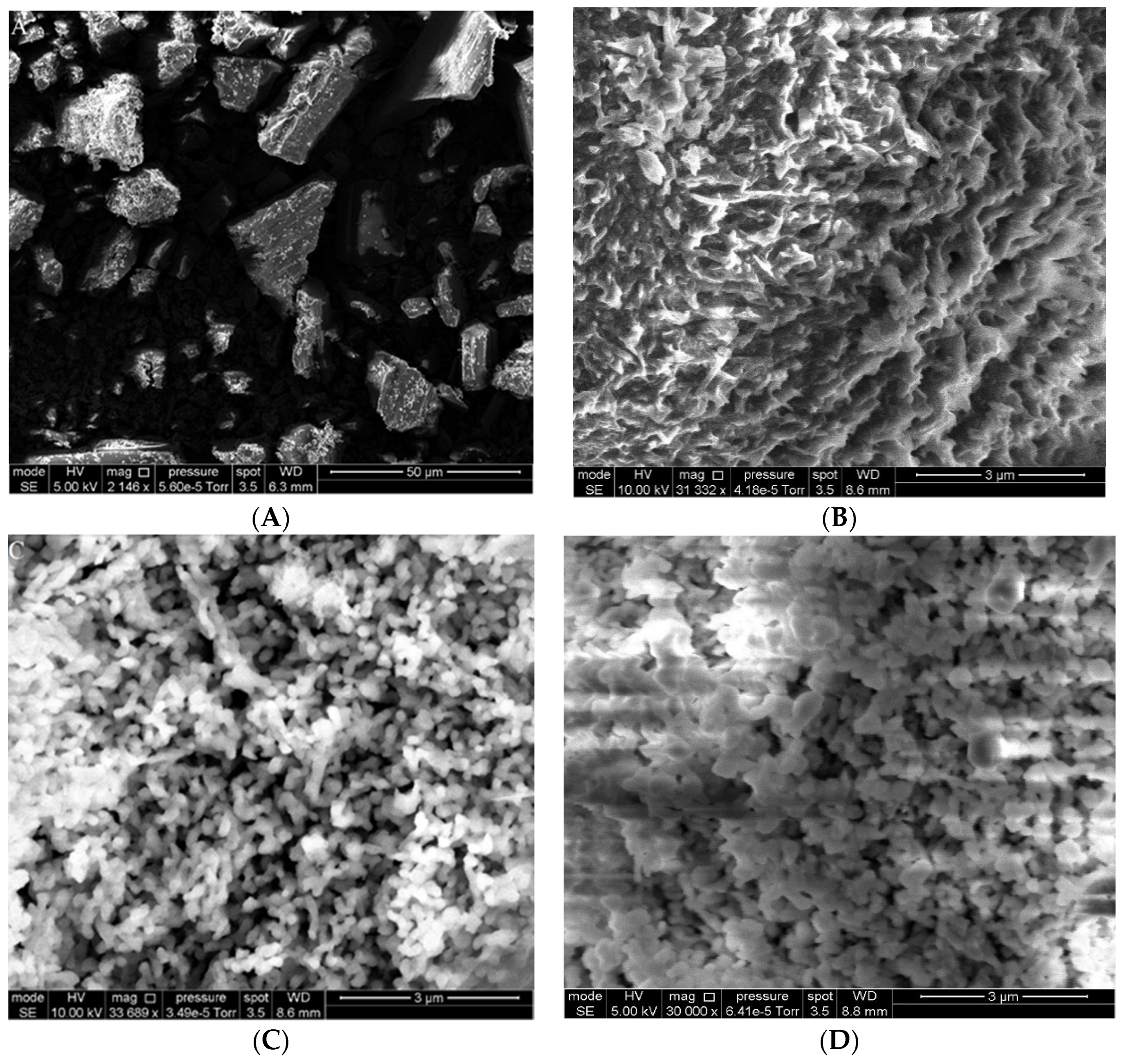 Nanomaterials 11 01588 g001