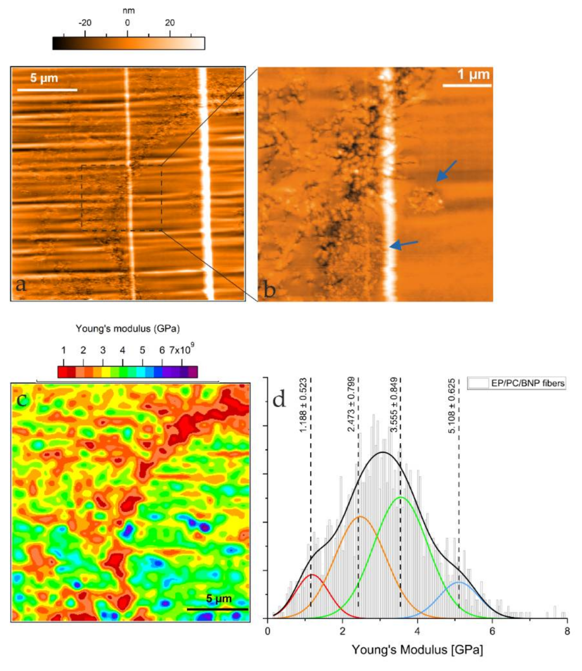 Nanomaterials 11 01591 g005